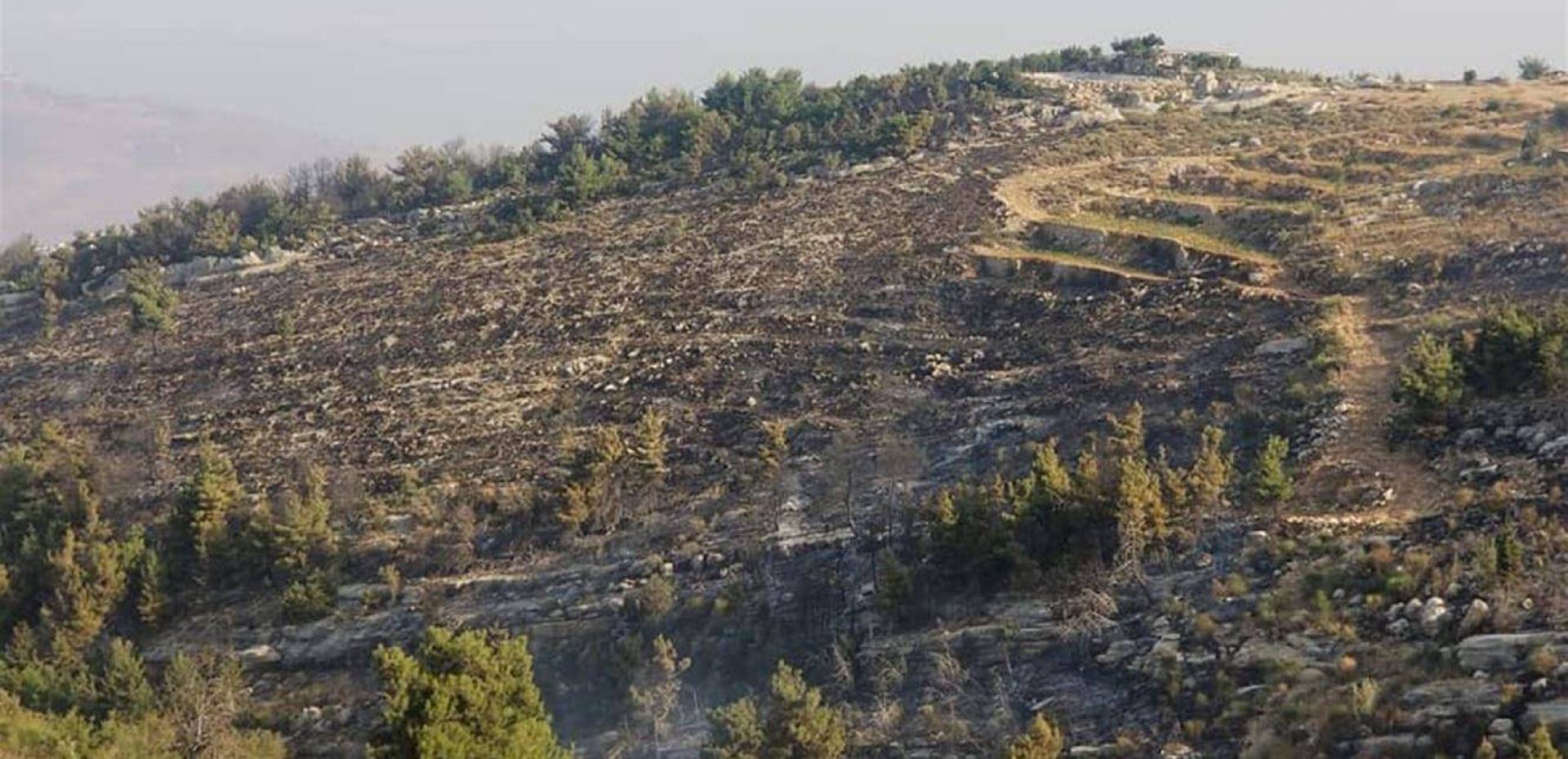 السيطرة على حريق كبير في الضنية