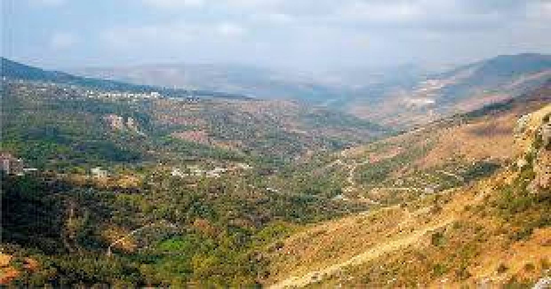 لبنان: ‏لا صحة لما يتم تداوله عن عملية للمقاومة في مزارع شبعا.