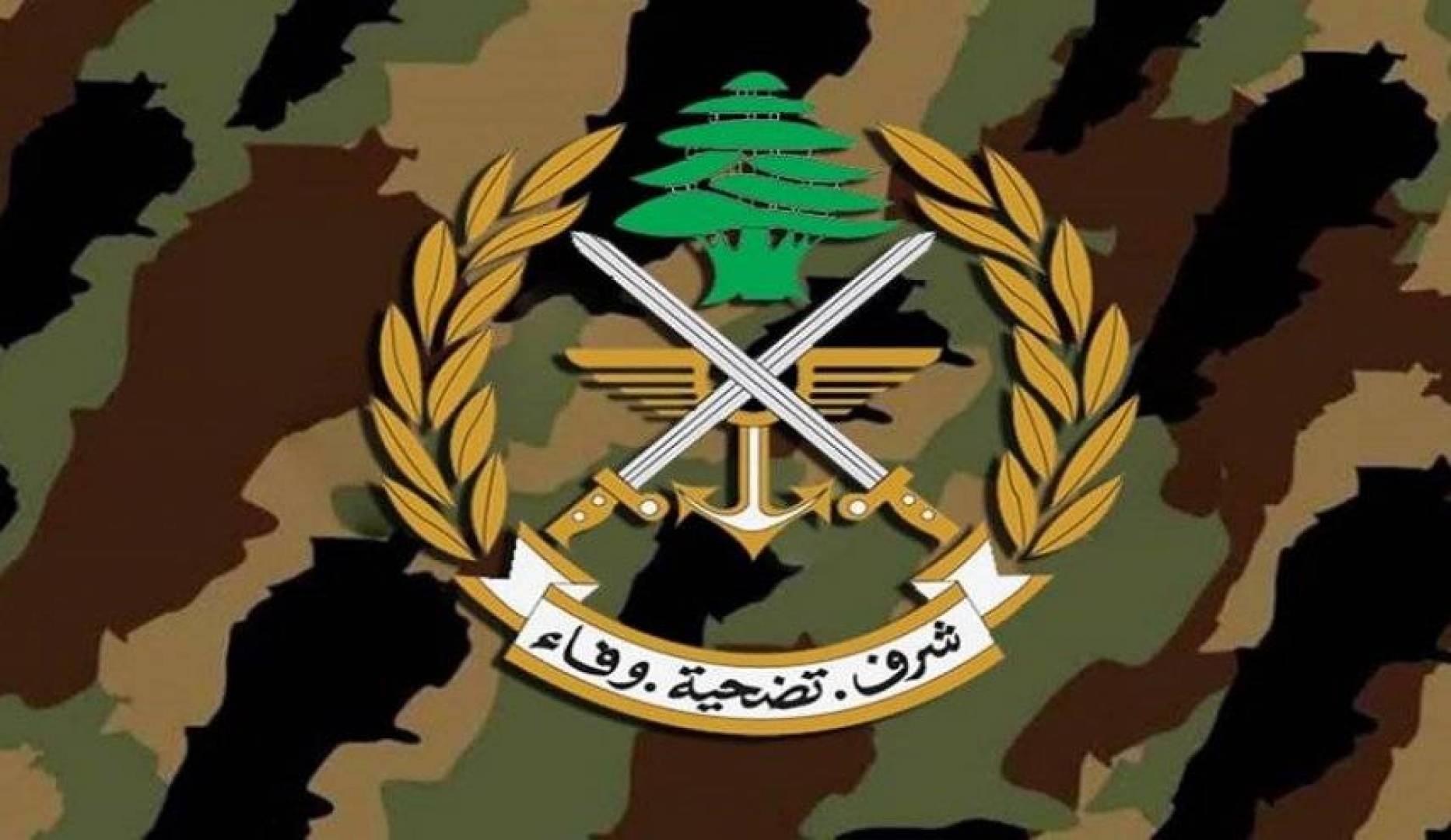 الجيش اللبناني يحبط عملية تهريب بنزين
