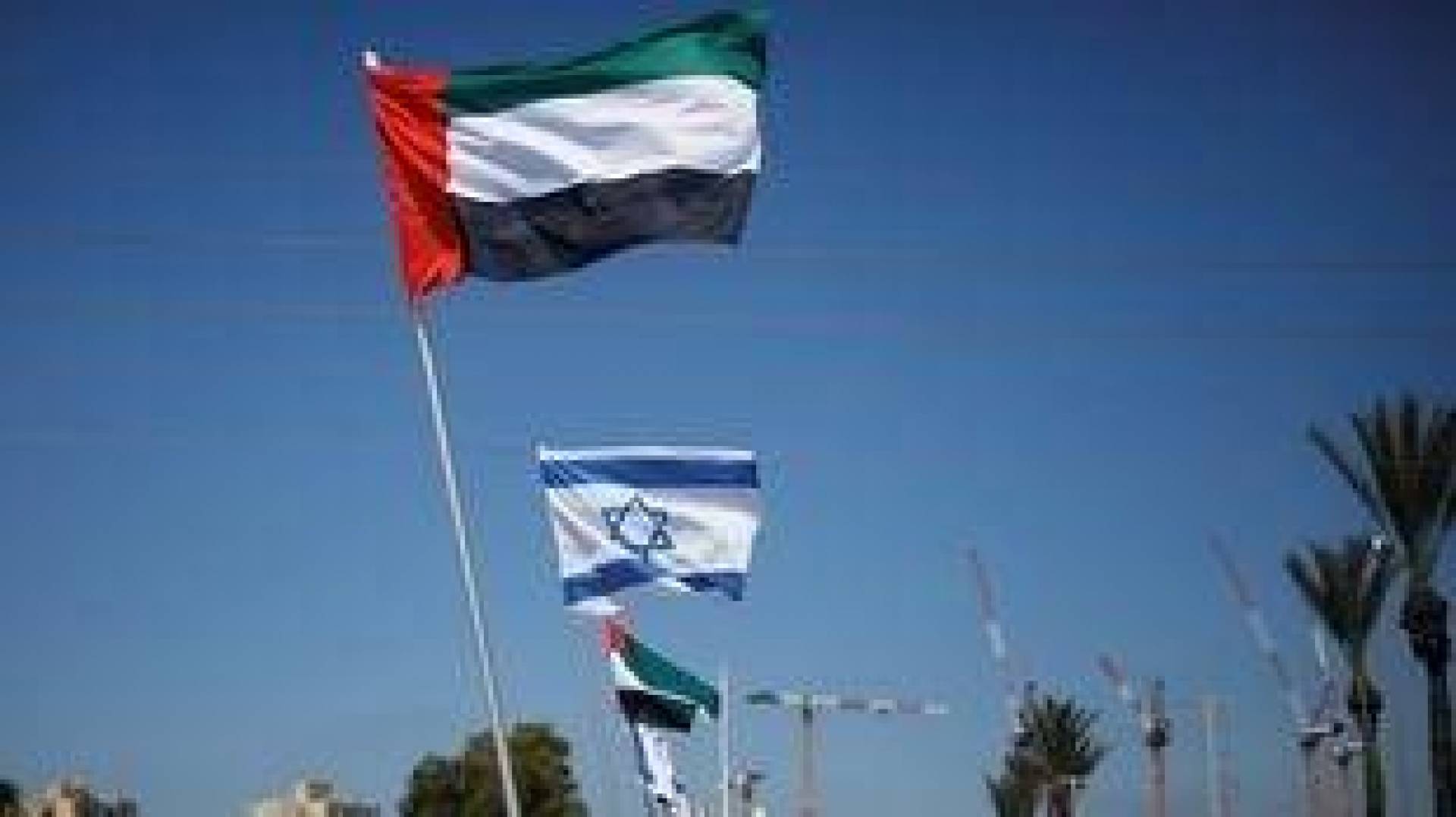الإمارات تعلن التصديق على قرار 