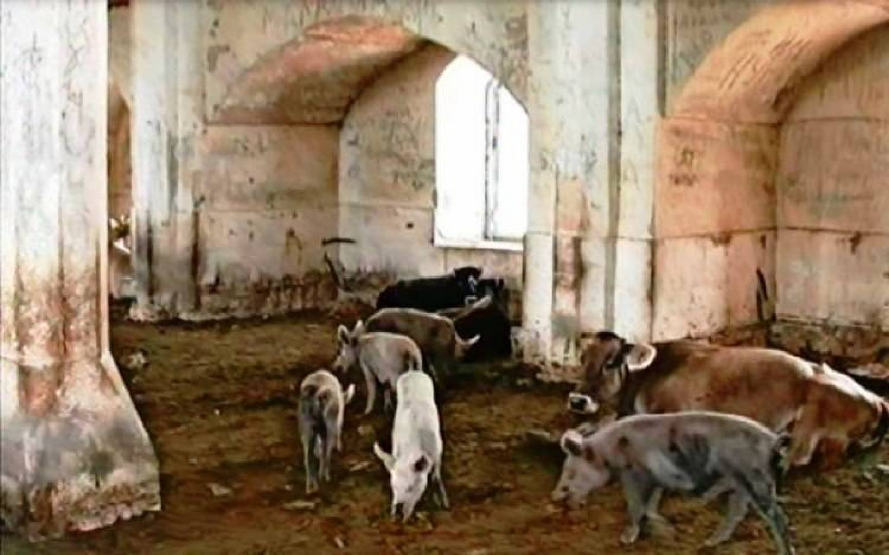 تحويل مسجد في كاراباخ إلى حظيرة خنازير