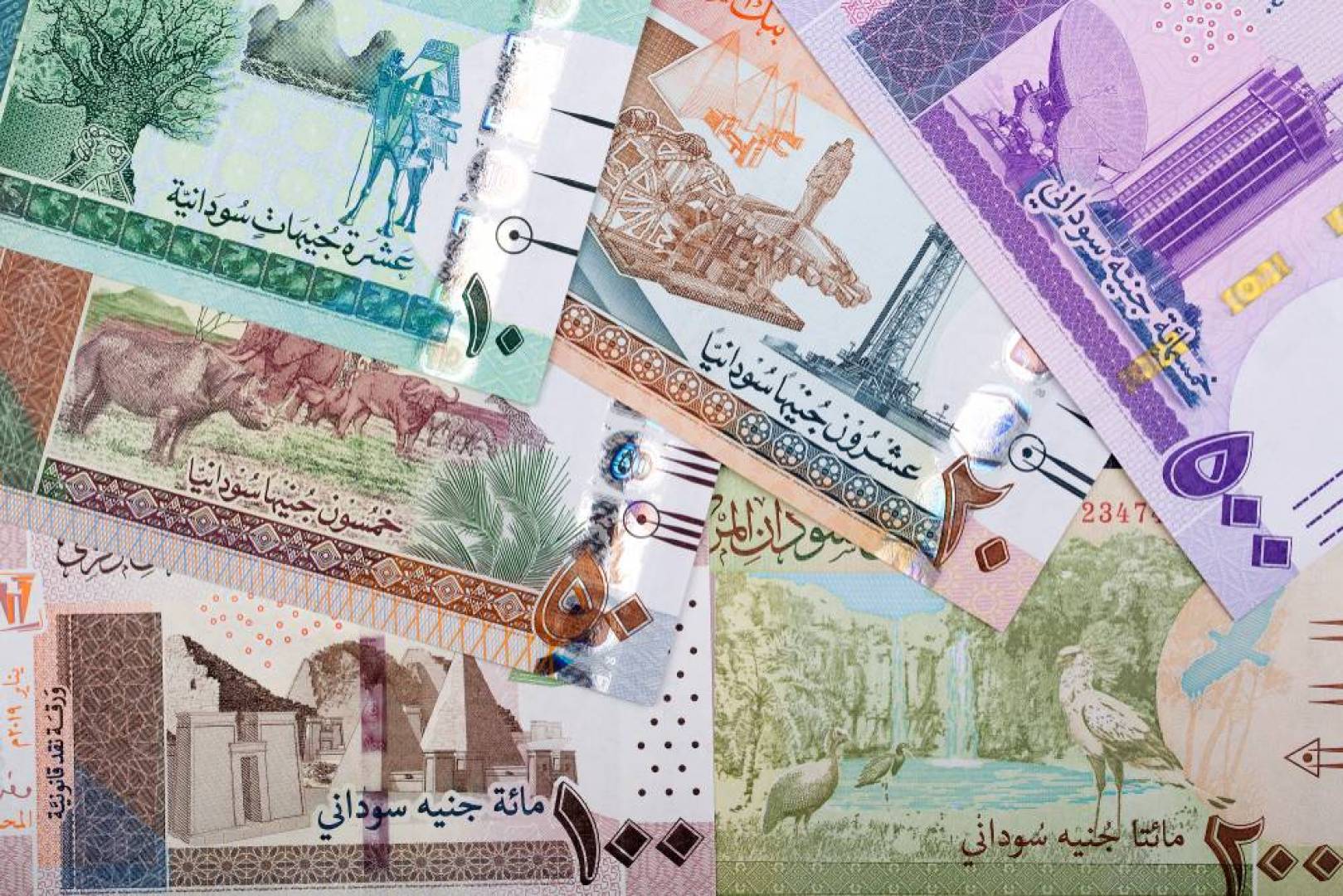 سعر الجنيه السوداني مقابل الدولار في السودان اليوم الثلاثاء 3 نوفمبر