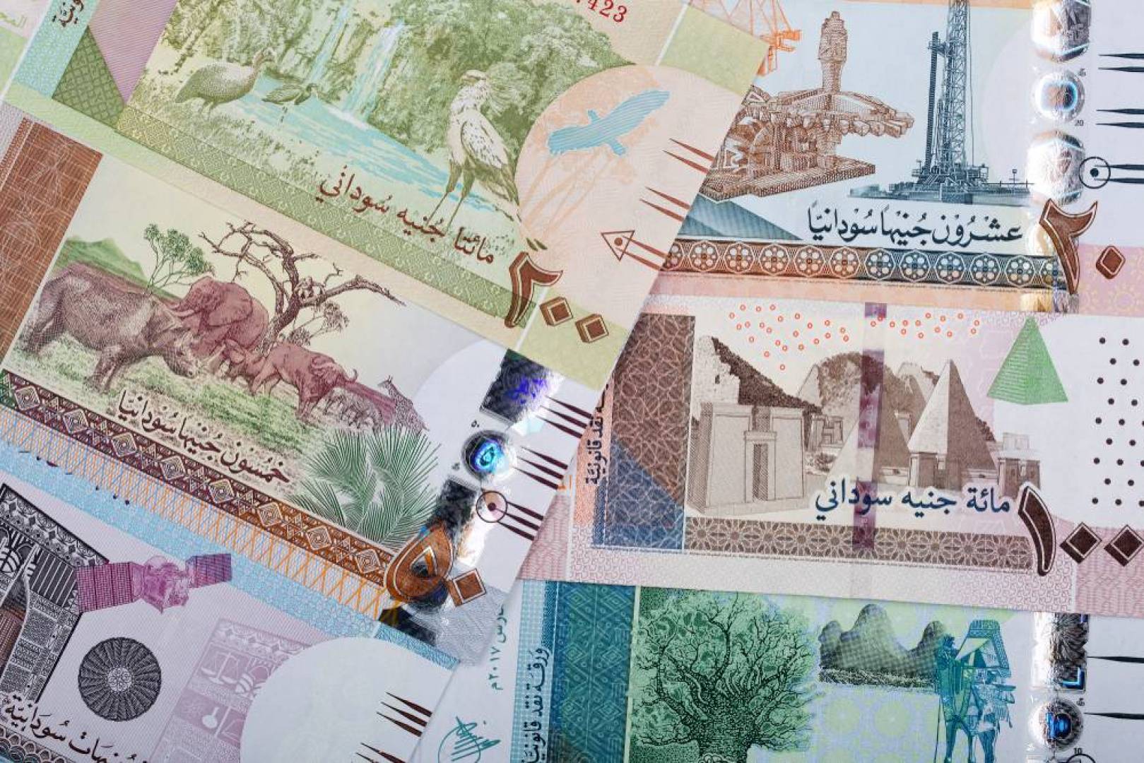 طالع الآن سعر الدولار في السودان اليوم الاثنين 16-11-2020 اسعار الدولار  في السوق السوداء