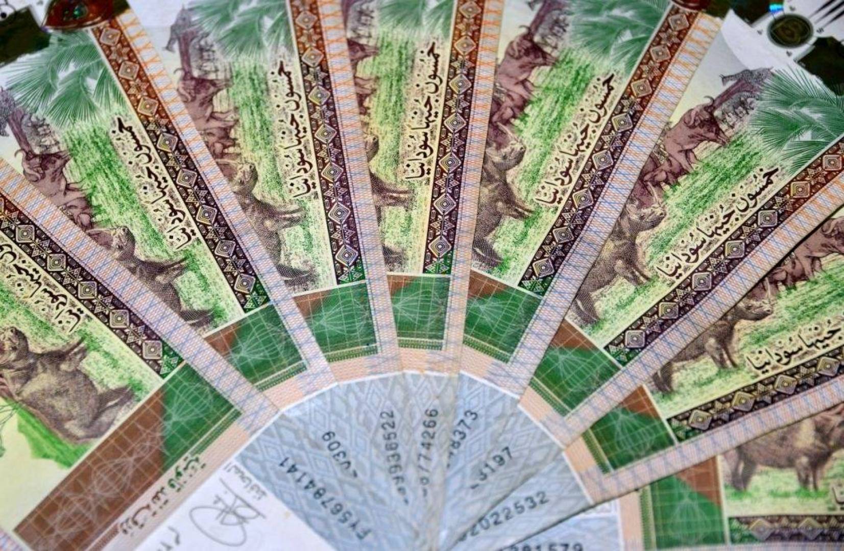 طالع الآن سعر الدولار في السودان اليوم الاثنين 14-12-2020 اسعار الدولار السوق السوداء