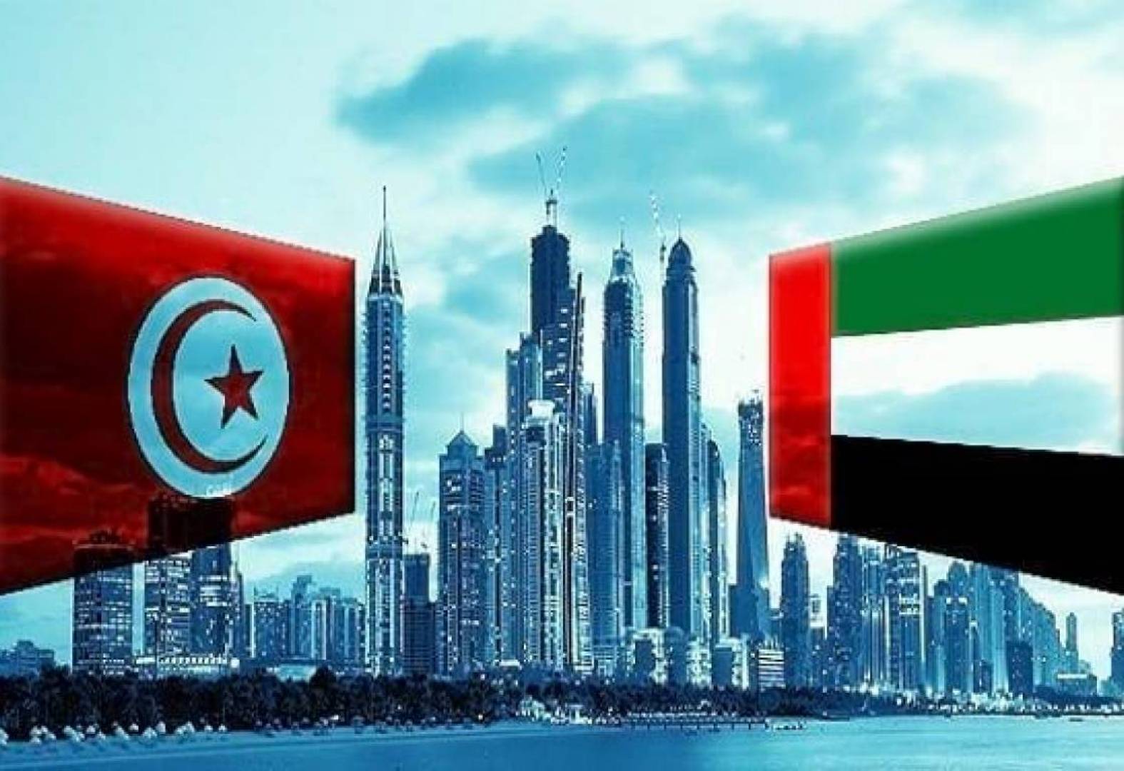 وزارة الدفاع التونسية ترد على منظمة