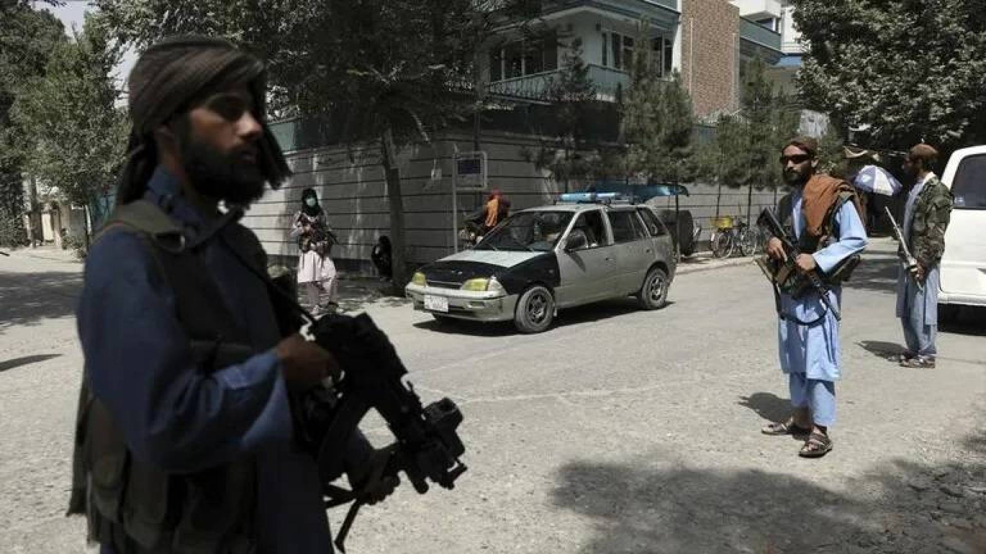 بالفيديو.. عناصر طالبان ترهب المواطنين وتأكيد أممي لممارساتها الانتقامية