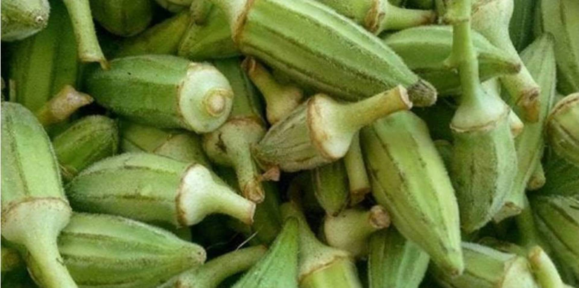 خمس فوائد صحية للبامية منها 