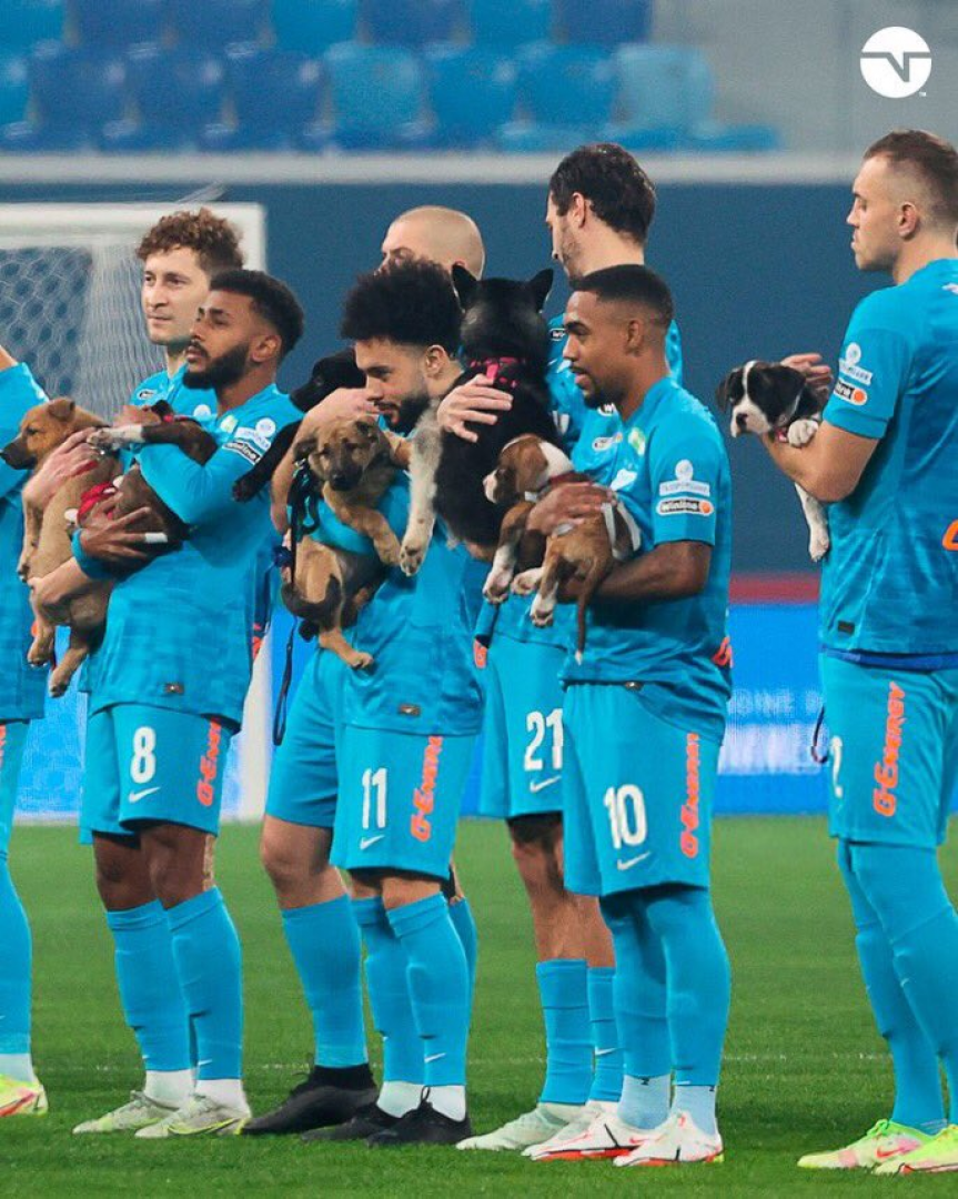 بالصور لاعبو زينيت يحملون الكلاب في أحد مبارياتهم في لفتة إنسانية رائعة 