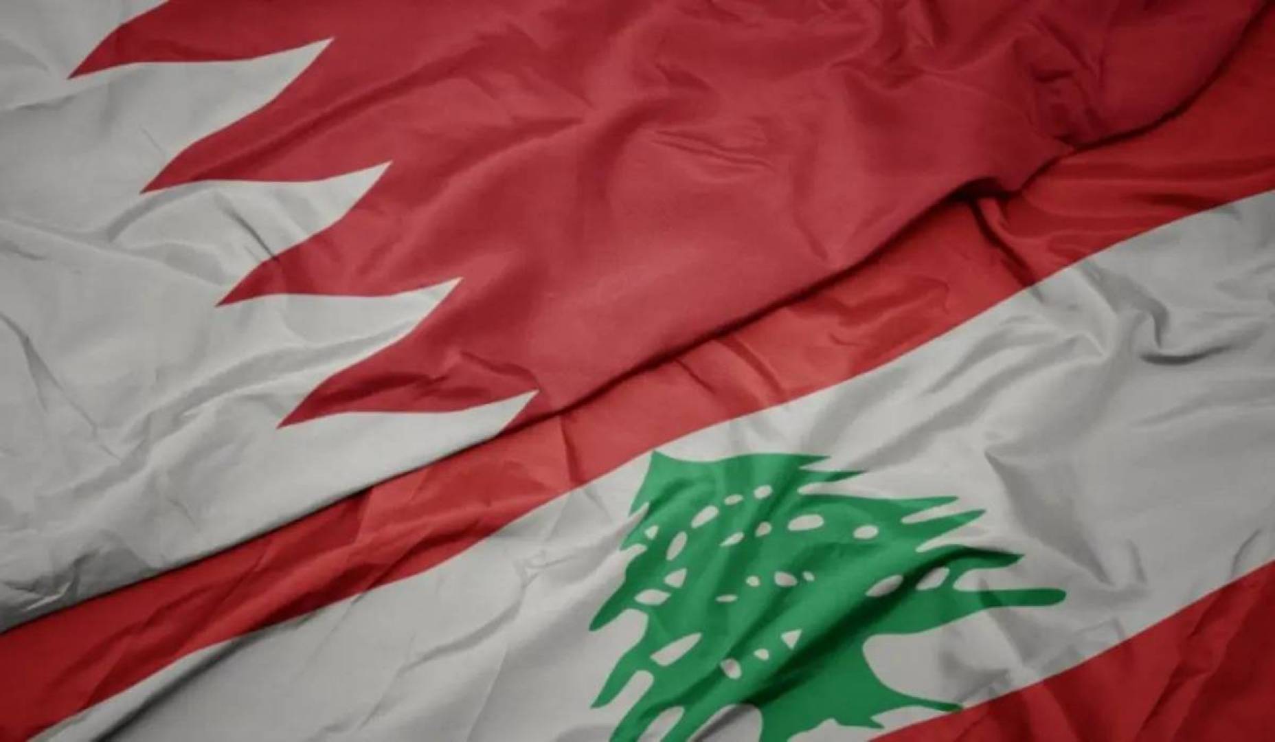 وزير الداخلية البحريني: العناصر التي تروج ادعاءات مغرضة ضد البحرين عبر لبنان تسيء للبلدين