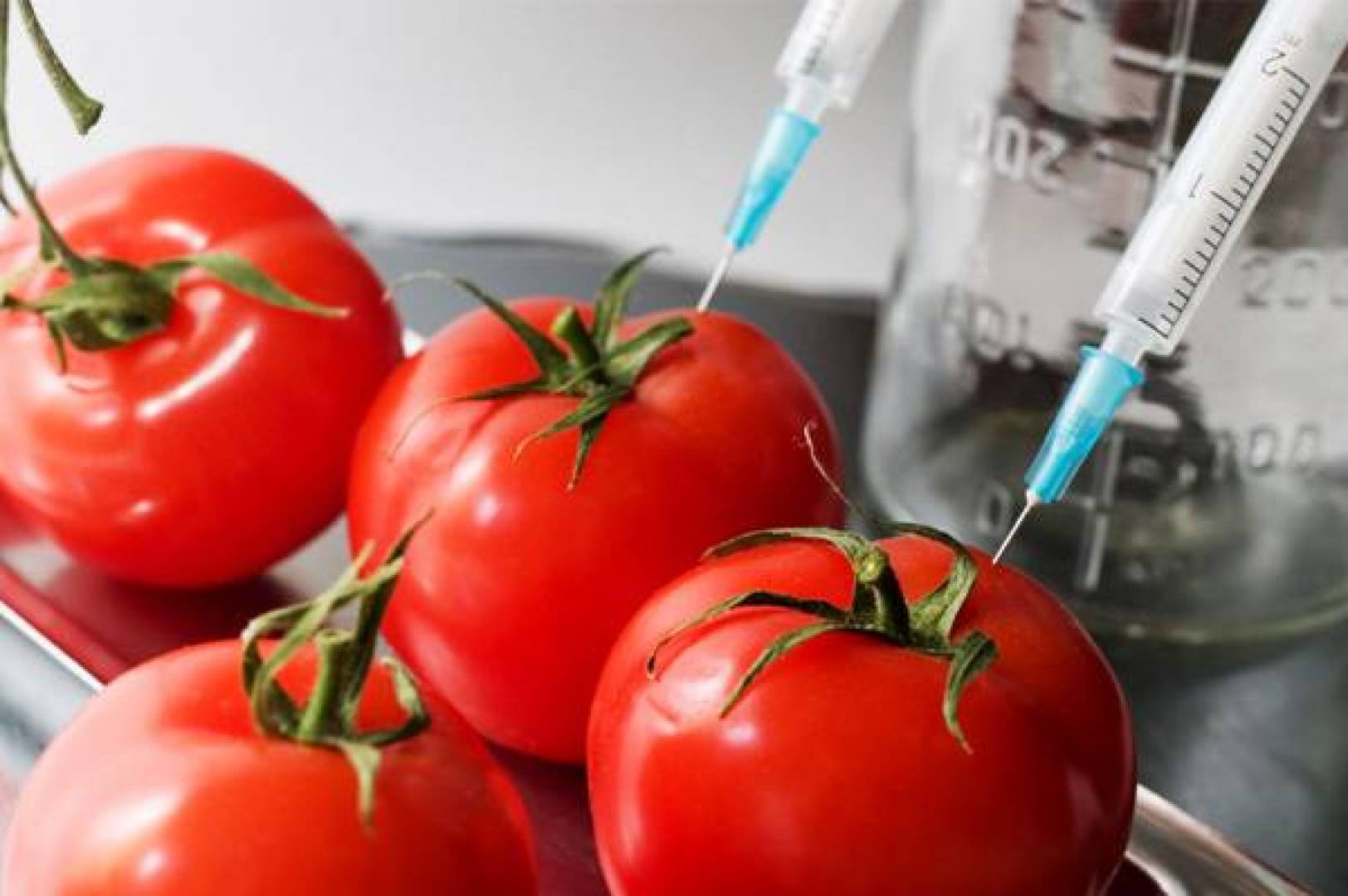 Genetically modified food. Генная инженерия в сельском хозяйстве. Генетически модифицированные помидоры. Генномодифицированные продукты. ГМО генная инженерия.