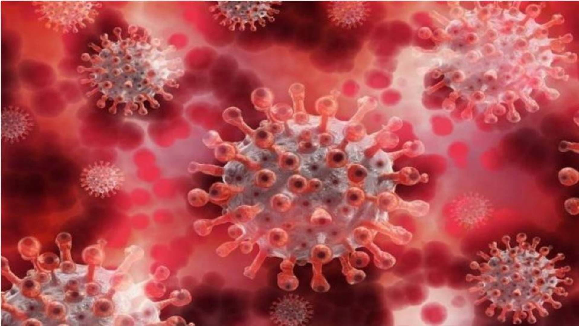 دراسة: الإصابة بمتحور أوميكرون قد تحمي أيضاً من متحور دلتا