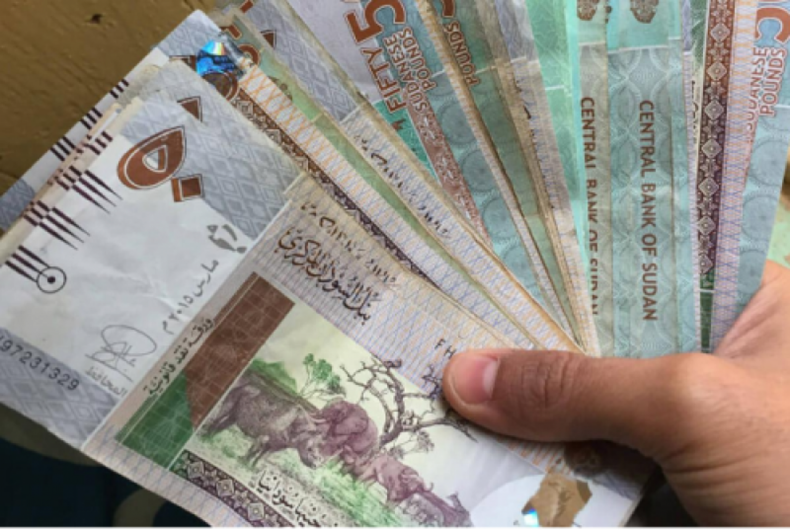 ارتفاع أسعار العملات في البنك المركزي السوداني .. واستقرار سعر الدولار في السوق السوداء
