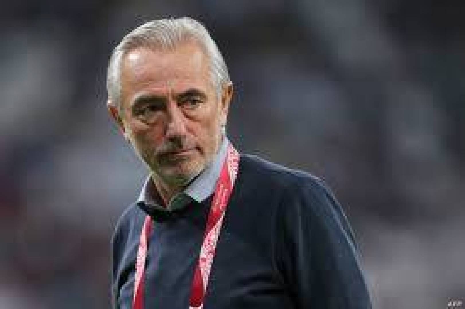 رسميا إقالة الهولندي فان مارفيك من تدريب منتخب الإمارات بكرة القدم 
