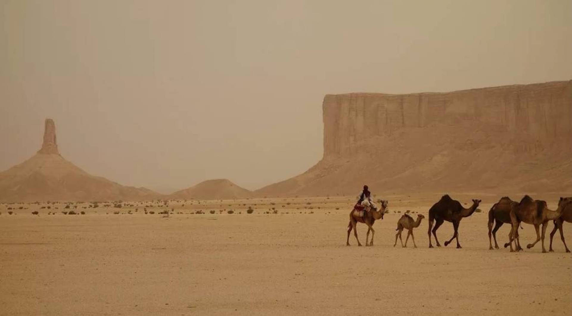 علماء ينشئون نظاماً للري لإنتاج المياه في الصحراء وزراعة المحاصيل
