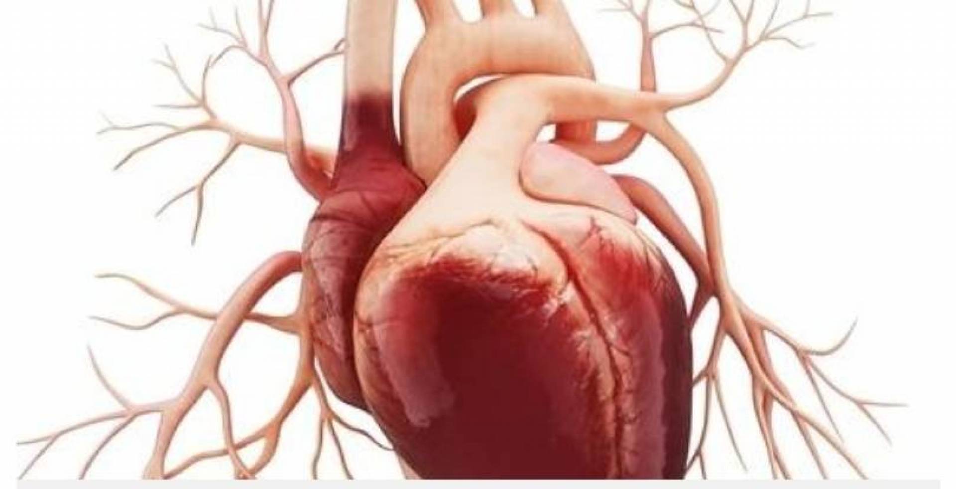 النساء أقل احتمالاً لتلقي العلاج اللازم للصدمة القلبية من الرجال