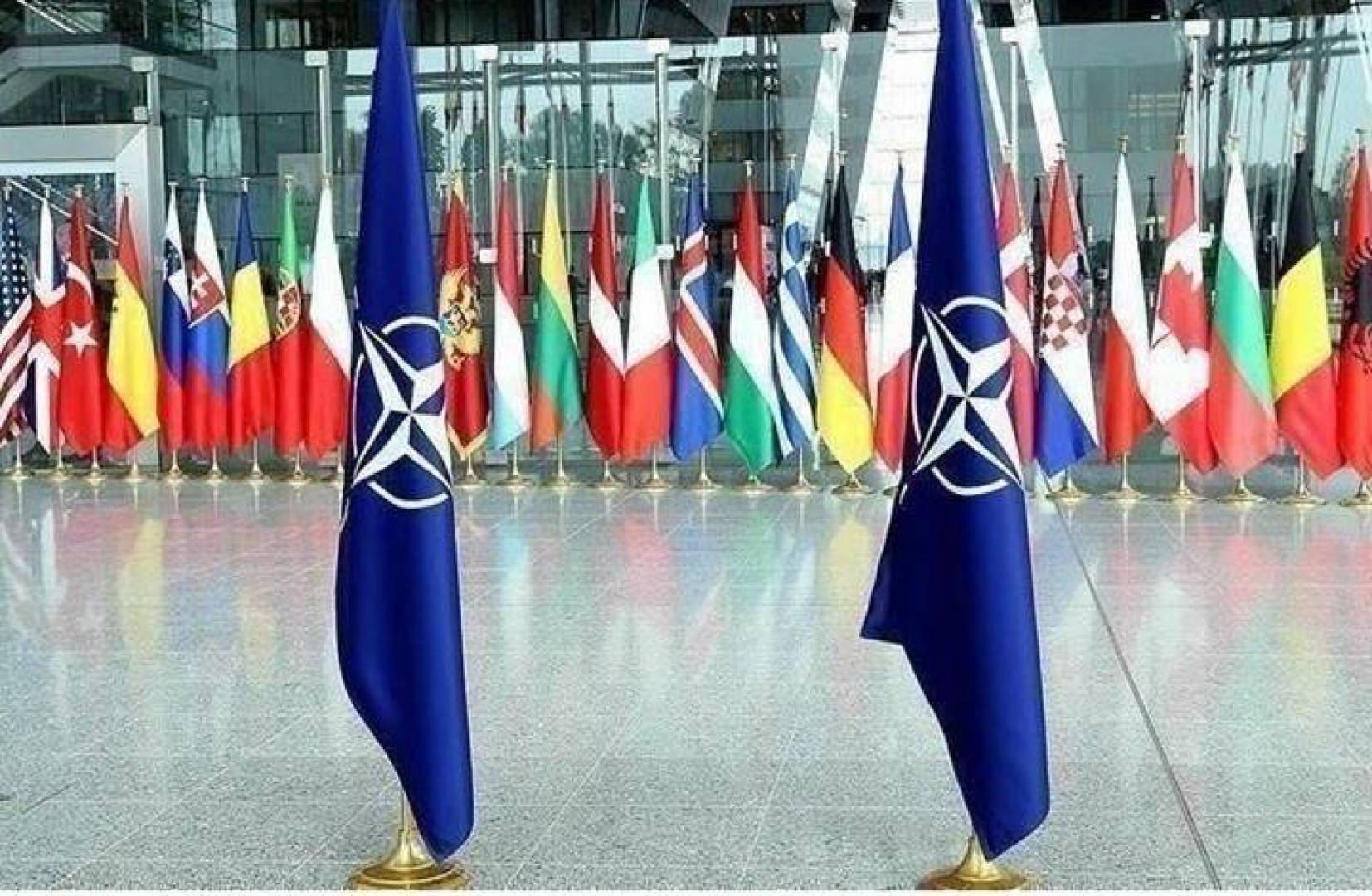 مسؤول أمريكي يرجح انضمام فنلندا والسويد إلى حلف الناتو هذا الصيف