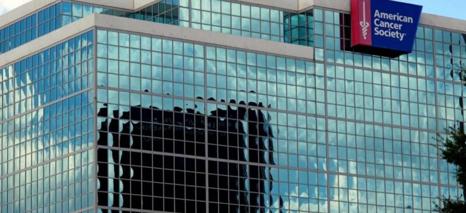 جمعية السرطان الأمريكية ACS  تشيد بالتبرعات المقدمة بـ عملة الدوجكوين