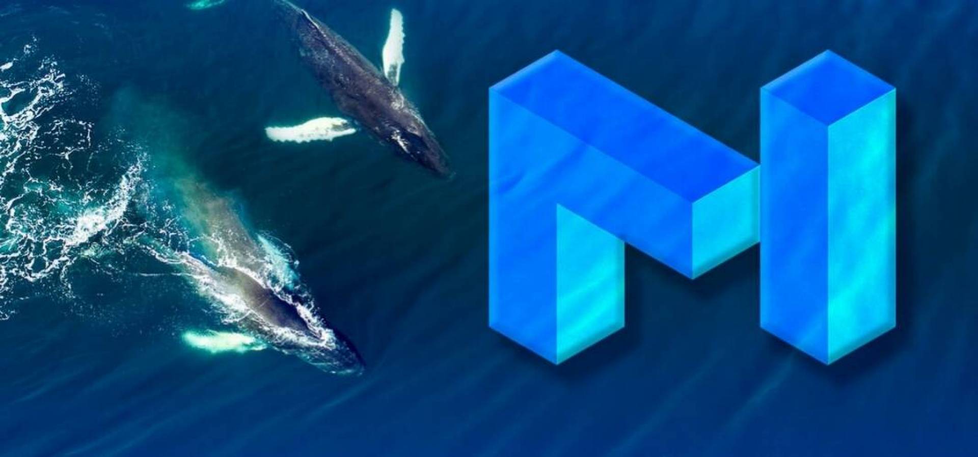 عملة MATIC ضمن قائمة أفضل 10 عملات رقمية