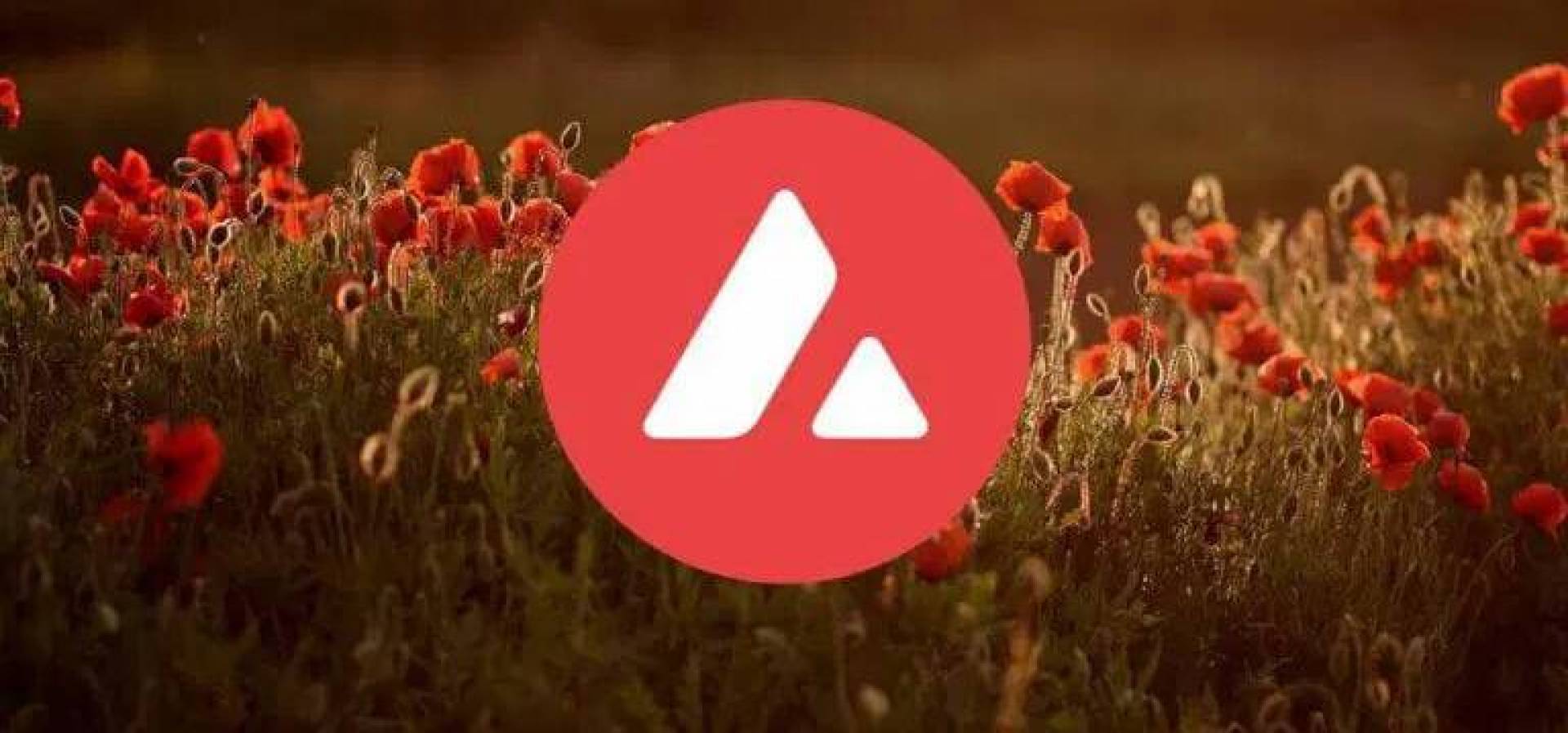سعر عملة أفالانتش AVAX باتجاه هبوطي: الدببة مسيطرون على السوق