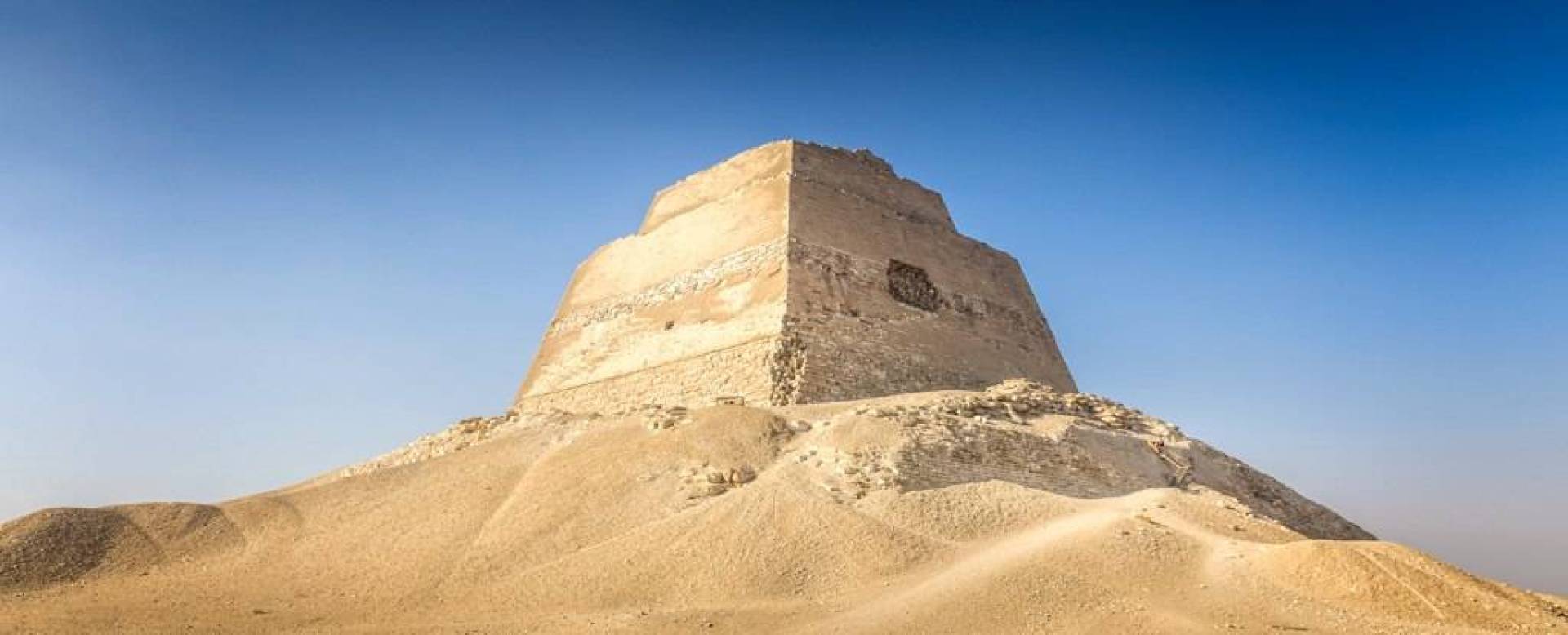 العثور على بقايا حوت عمره 41 مليون سنة في رمال مصر 