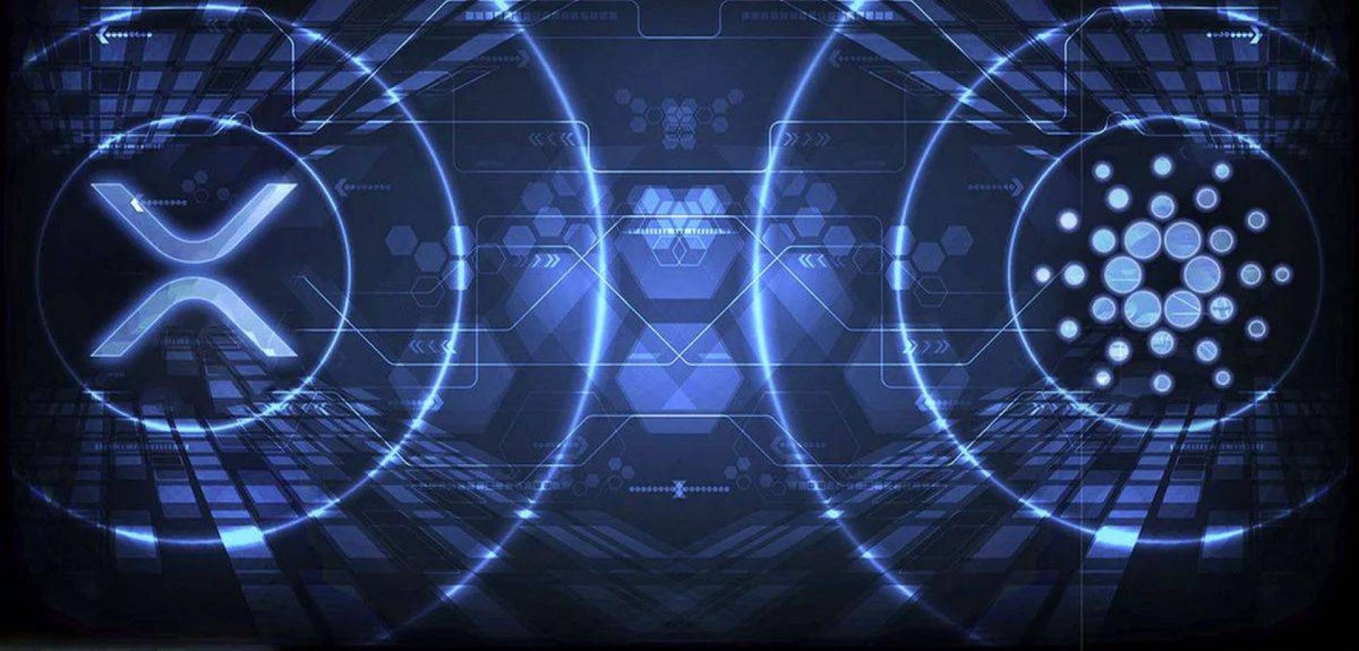 توصية من Santiment بمراقبة أداء XRP وADA