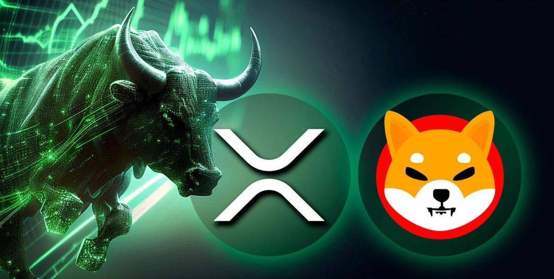 عملة شيبا إينو SHIB وXRP تتصدران سوق العملات الرقمية