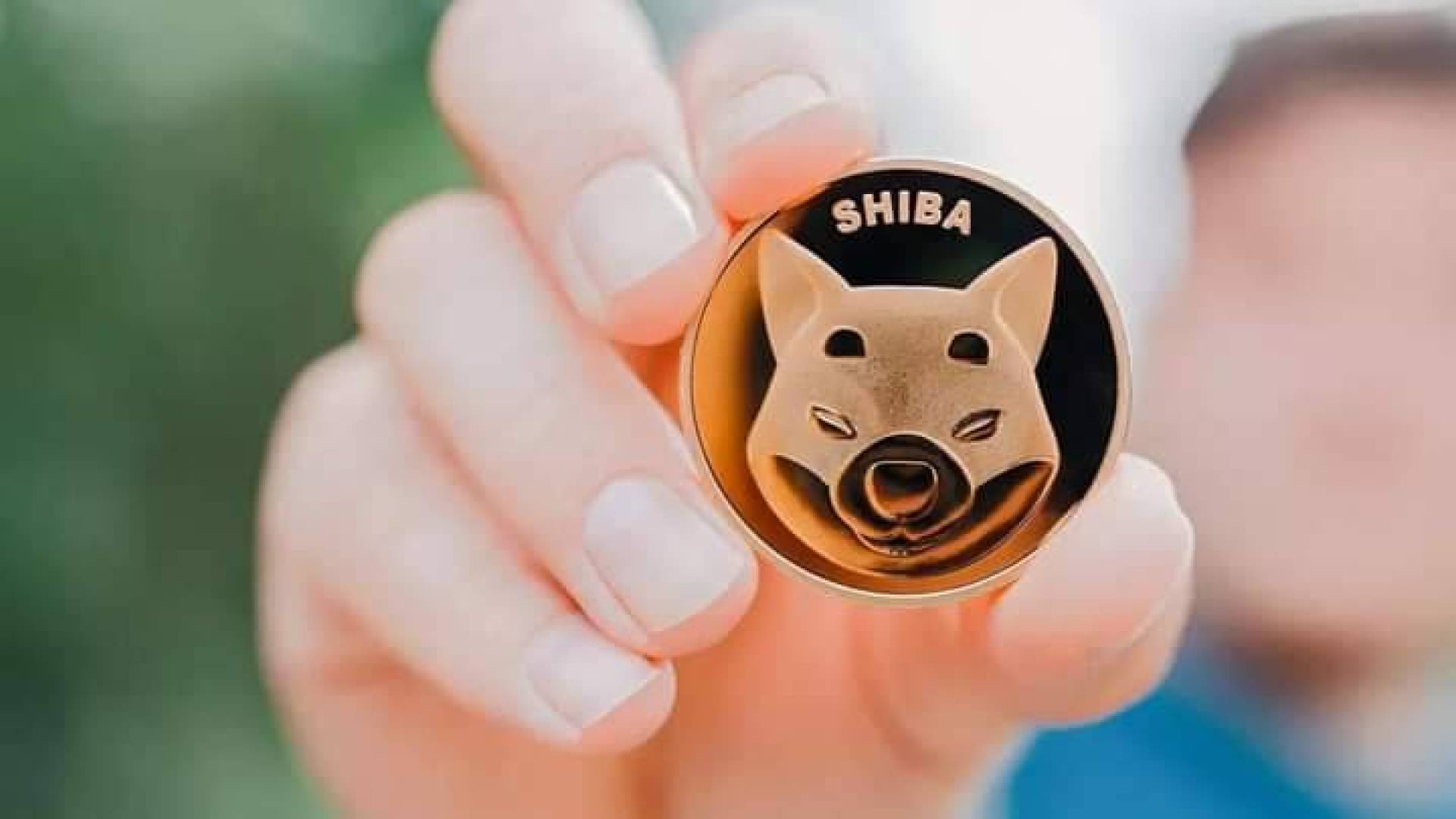 عملة شيبا إينو SHIB تتصدر أحجام التداول خلال ساعة