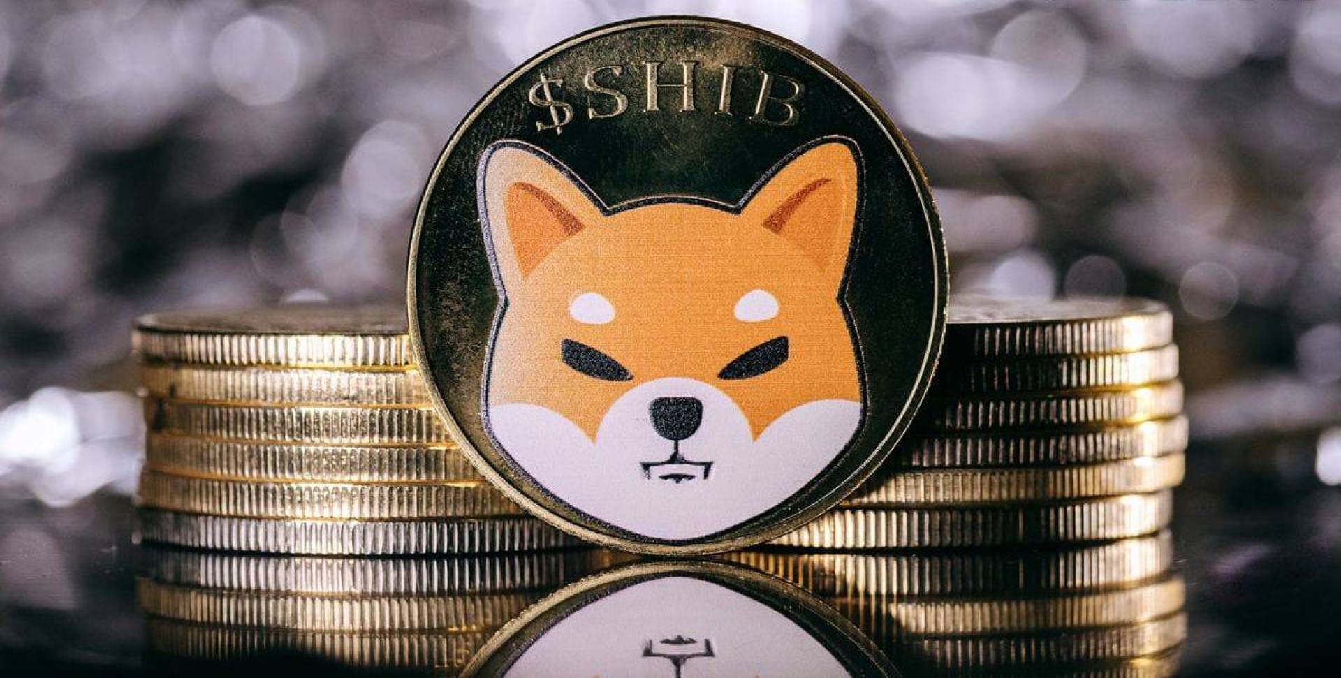 ارتفاع سعر عملة شيبا إينو SHIB يؤدي إلى زيادة معاملاتها الكبيرة بنسبة 260٪