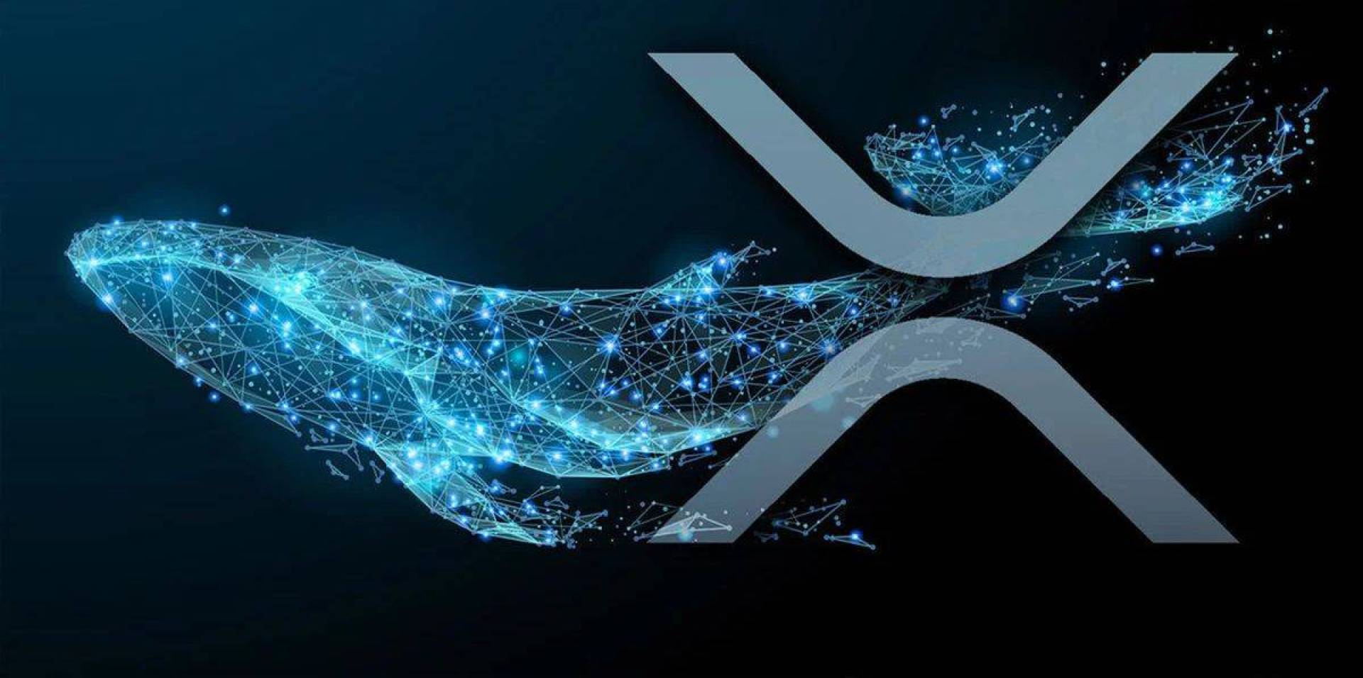 حوت يشتري كمية كبيرة من XRP