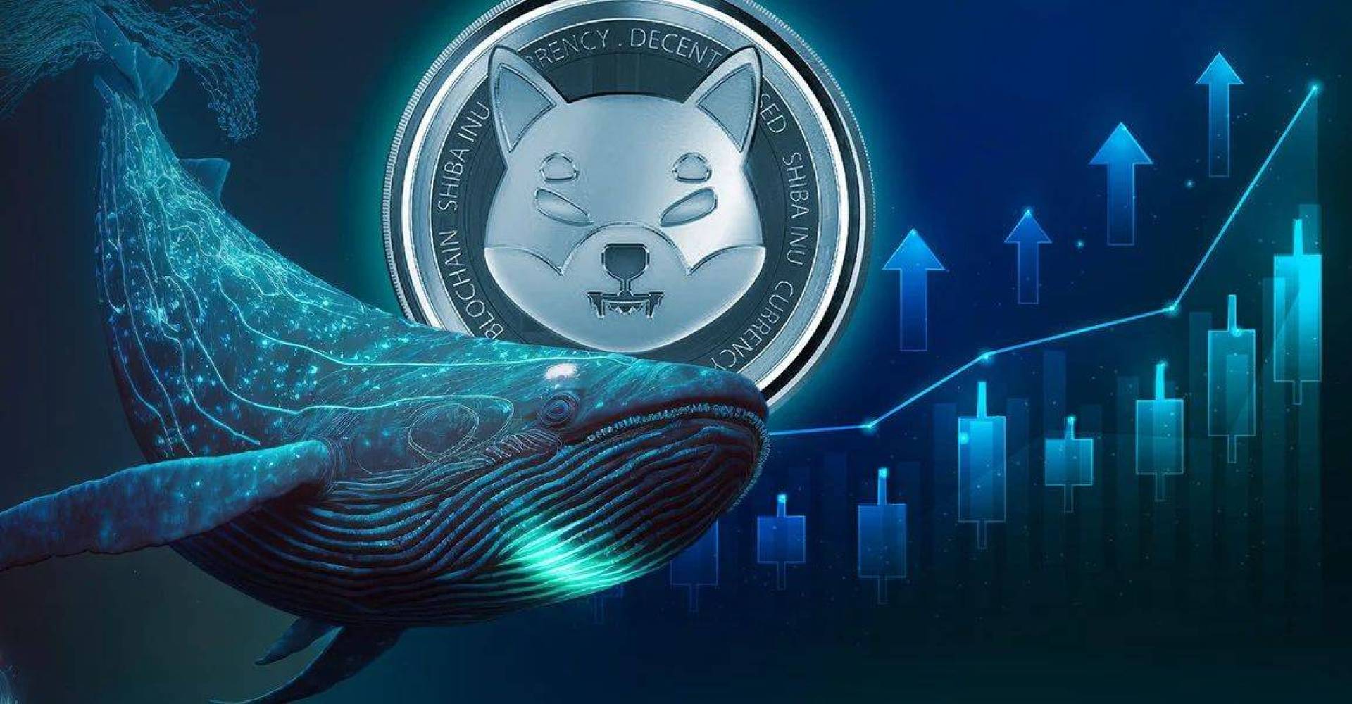 ارتفاع معدل معاملات عملة شيبا إينو (SHIB) الكبيرة