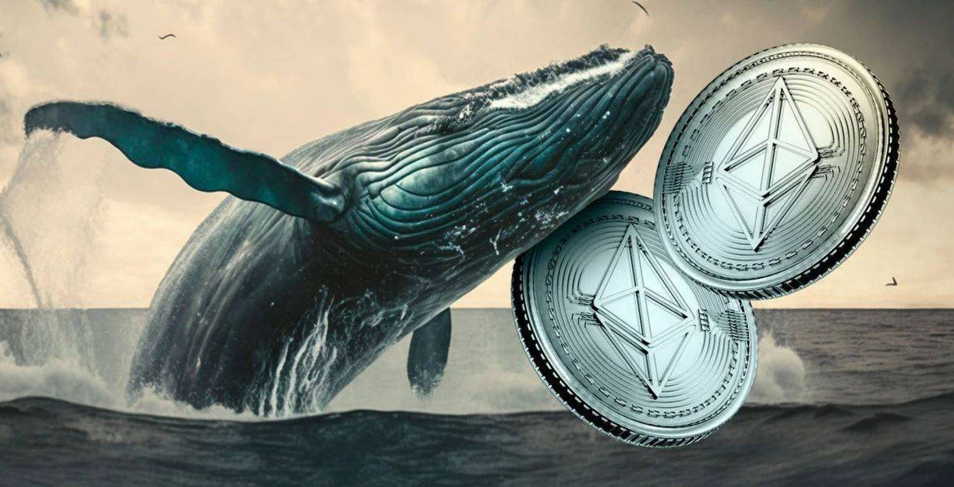 حيتان الإيثيريوم الجديدة تستحوذ على كمية كبيرة من عملة ETH
