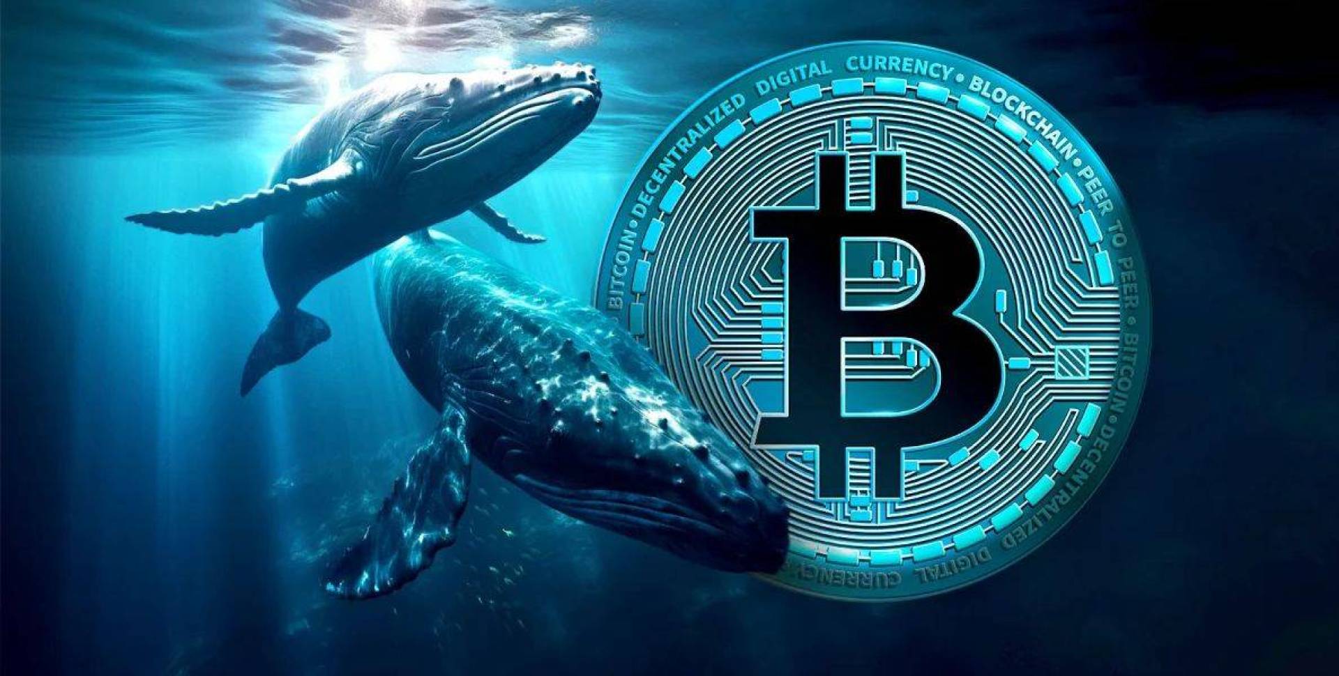 ظهور حيتان جديدة في البيتكوين (BTC) 