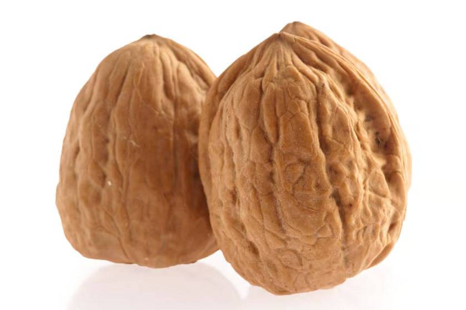 الجوز يحسن الخصوبة لدى الرجال