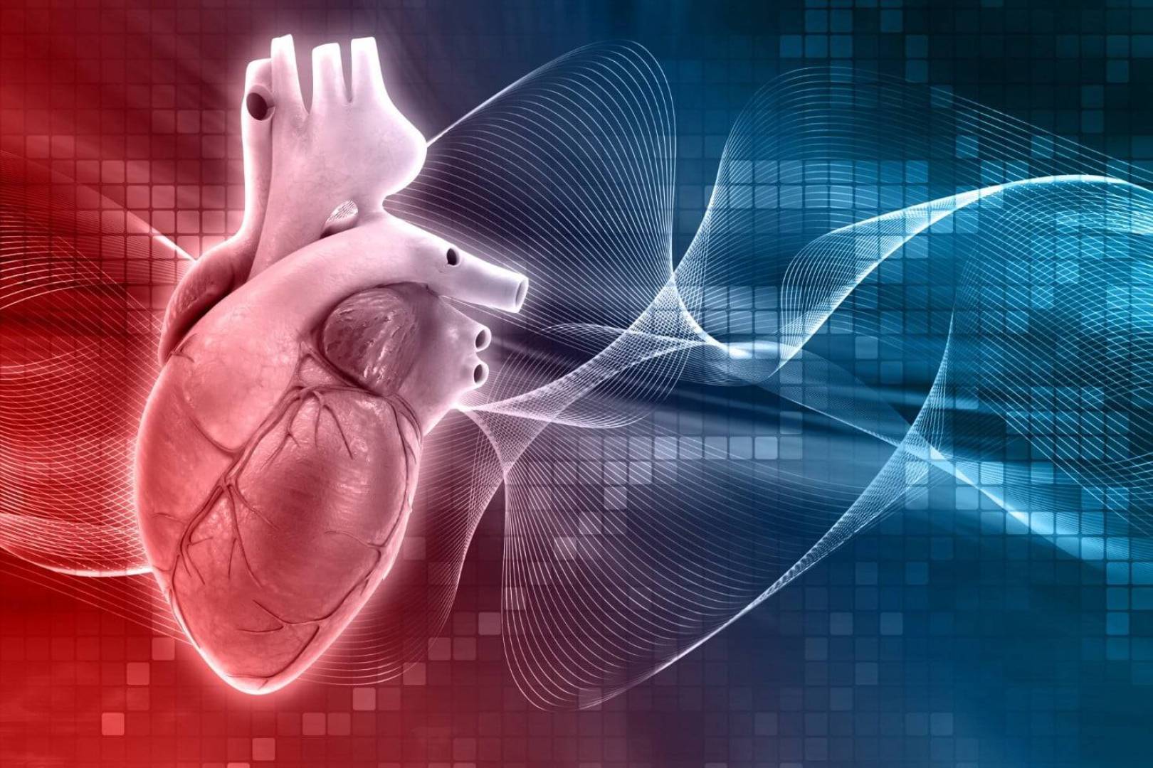 العلاقة بين نسبة الكوليسترول وضغط الدم بالإصابة بأمراض القلب التاجية