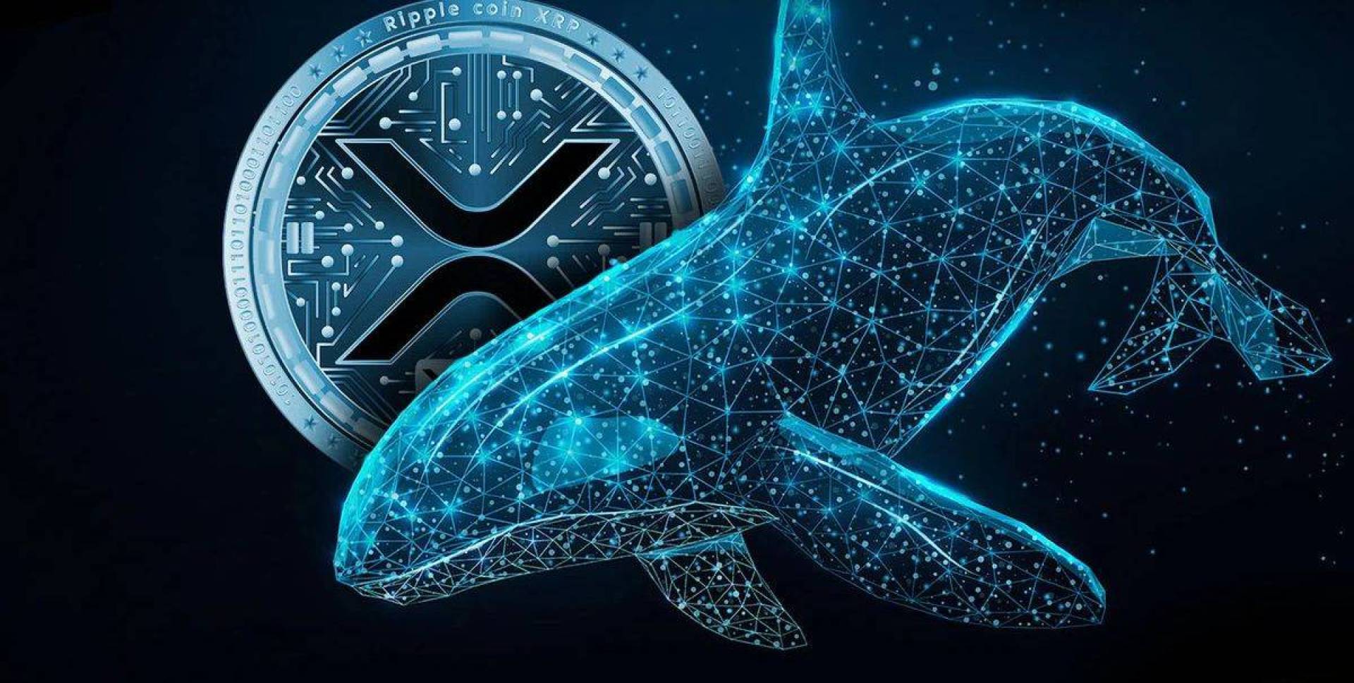 وسط استعداد سعر عملة الريبل لارتفاع جديد.. نقل 900 مليون XRP 