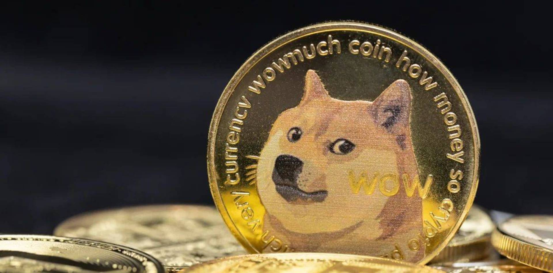 عملة الدوجكوين (DOGE) تشهد زيادة في المعاملات الكبيرة