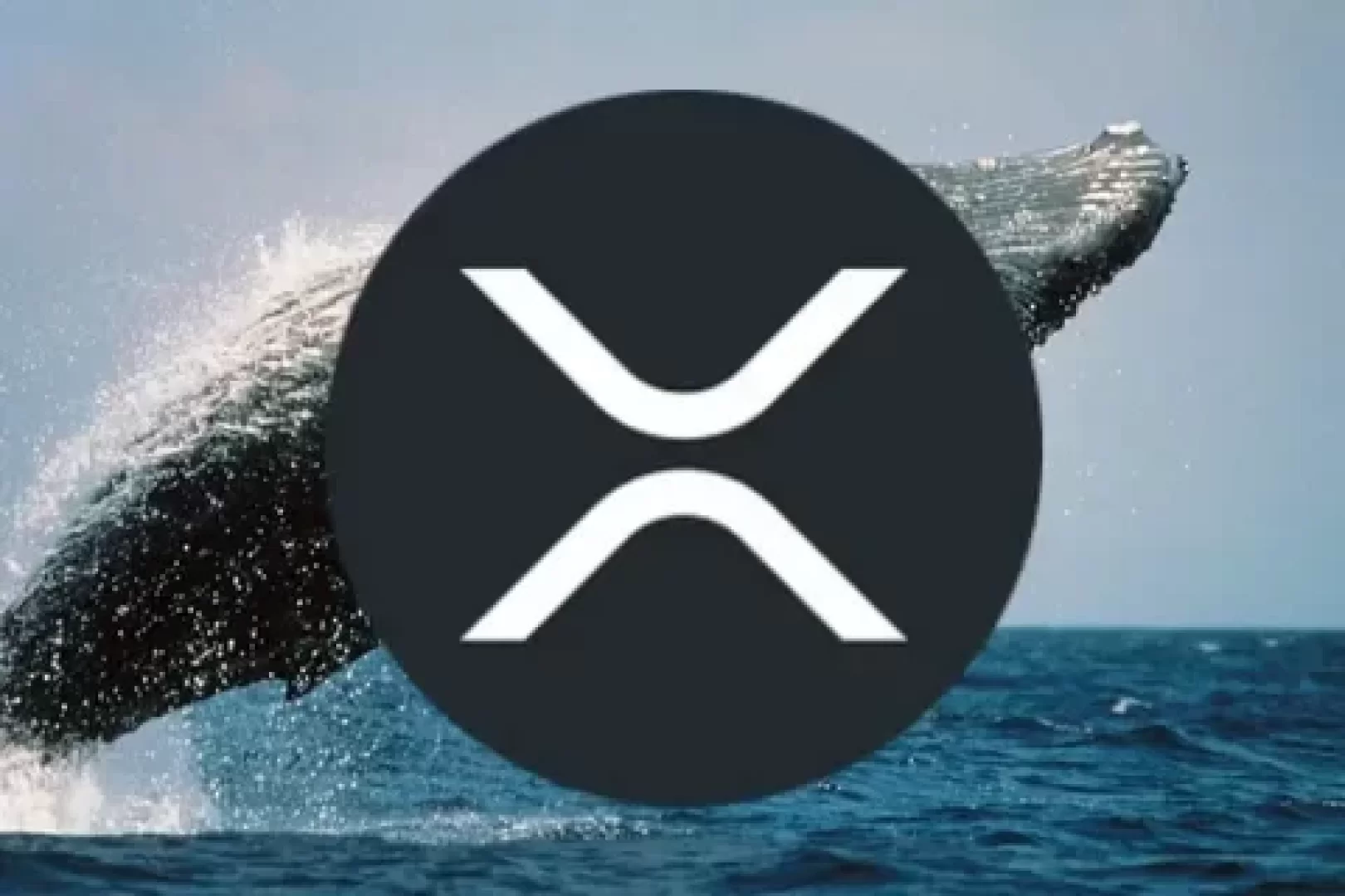 ما السبب وراء ارتفاع سعر عملة XRP؟