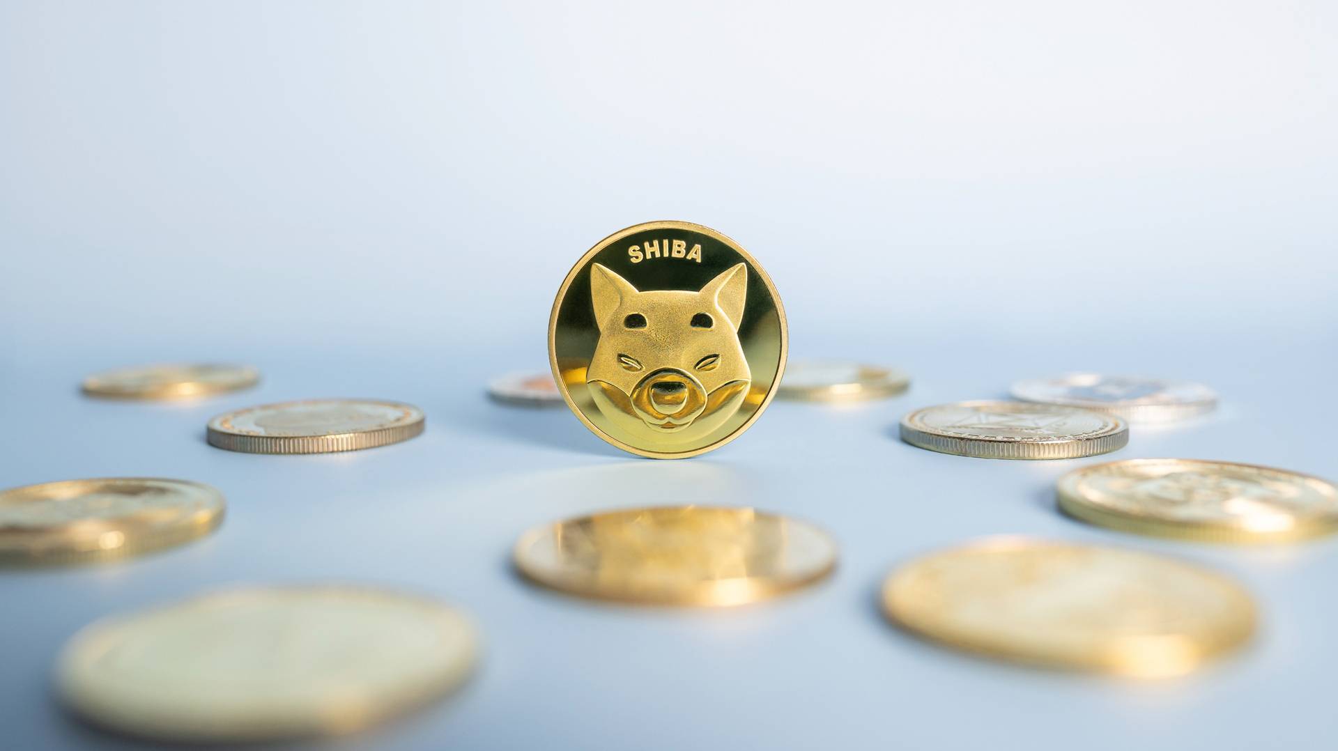 هل سعر SHIB جاهز لمحو الصفر؟