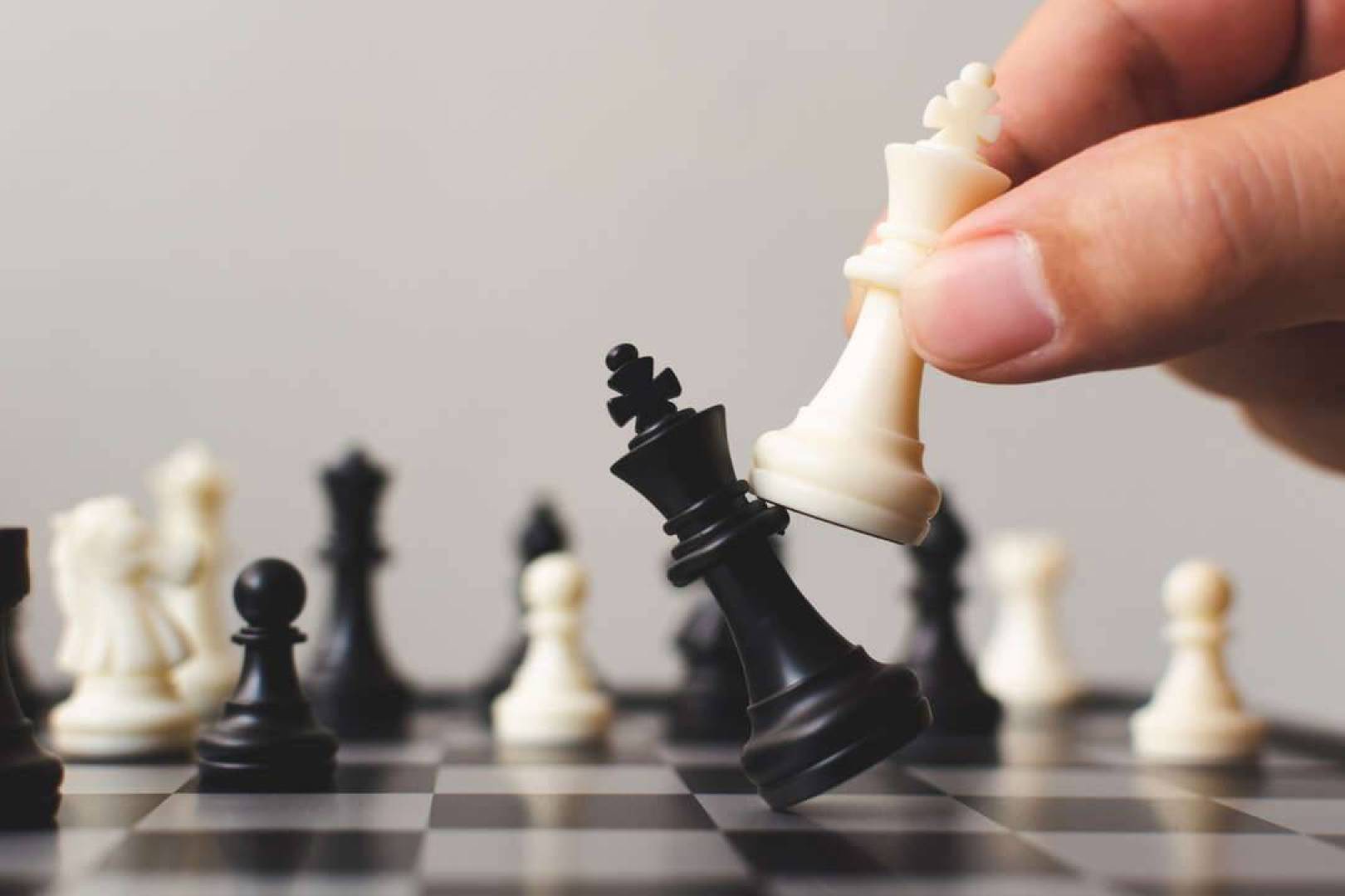 ماذا تقول السيولة عن الدوجكوين والعملات الرقمية؟