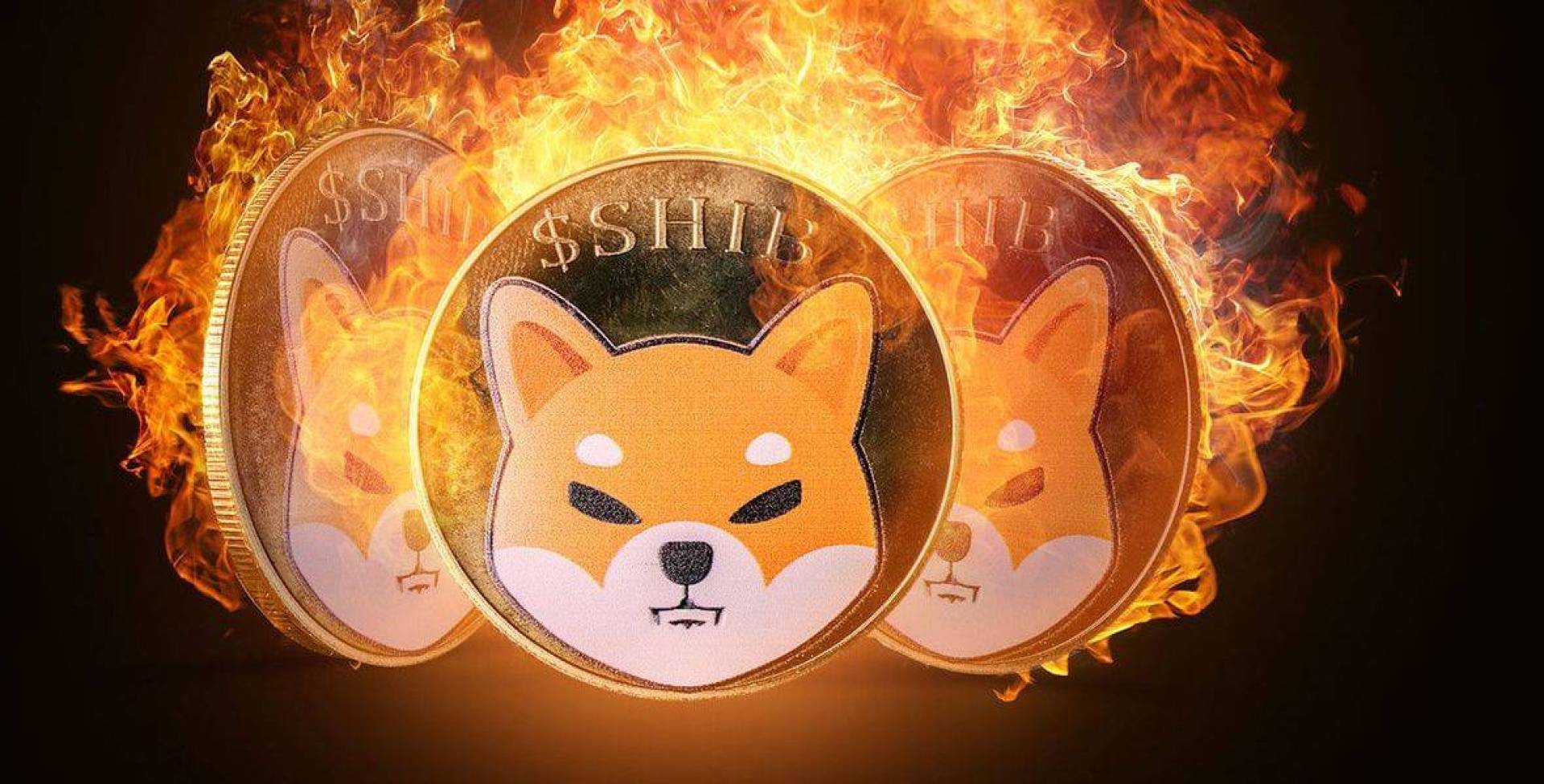 مع زيادة عدد عناوين SHIB.. ارتفاع معدل الحرق الأسبوعي لـ عملة شيبا إينو