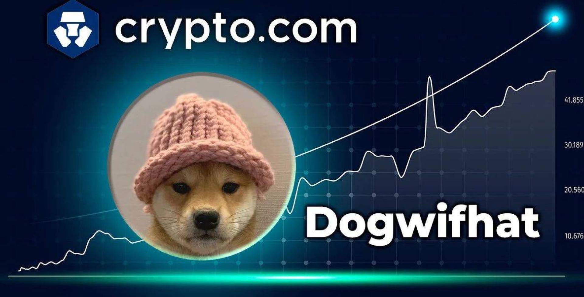 سعر عملة Dogwifhat (WIF) يرتفع 100٪