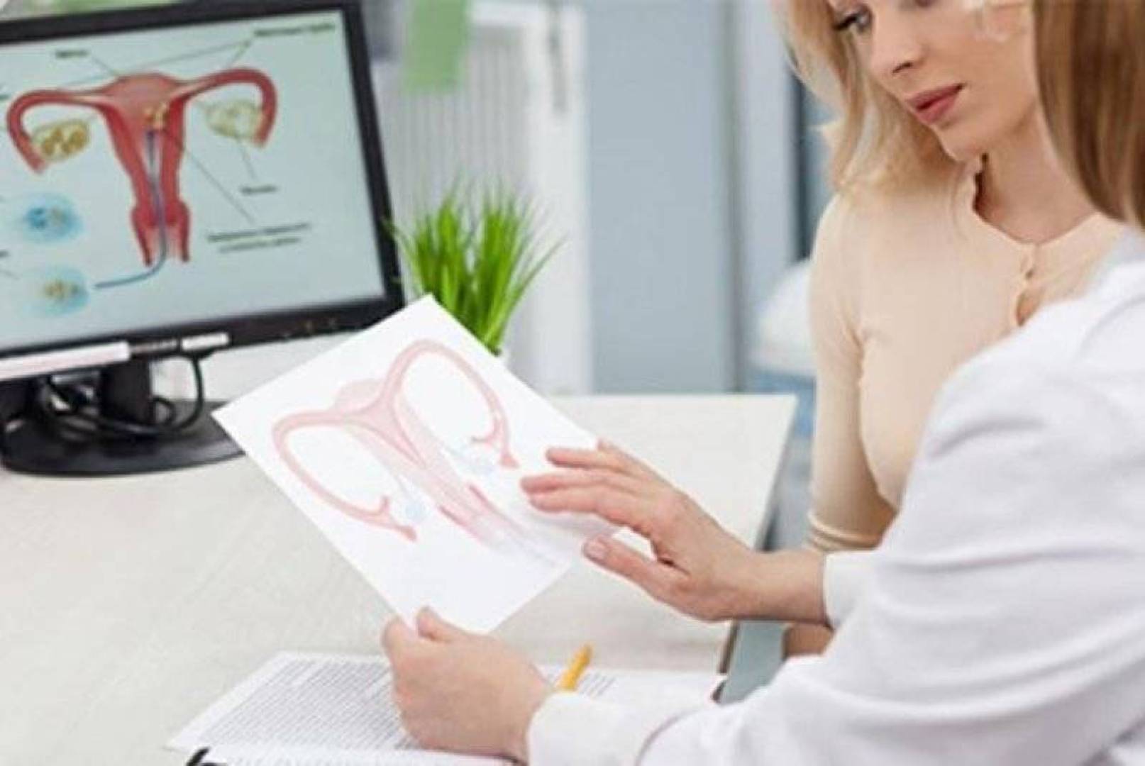 العلاقة بين التعرض للمعادن الثقيلة السامة والشيخوخة المبكرة للمبيض