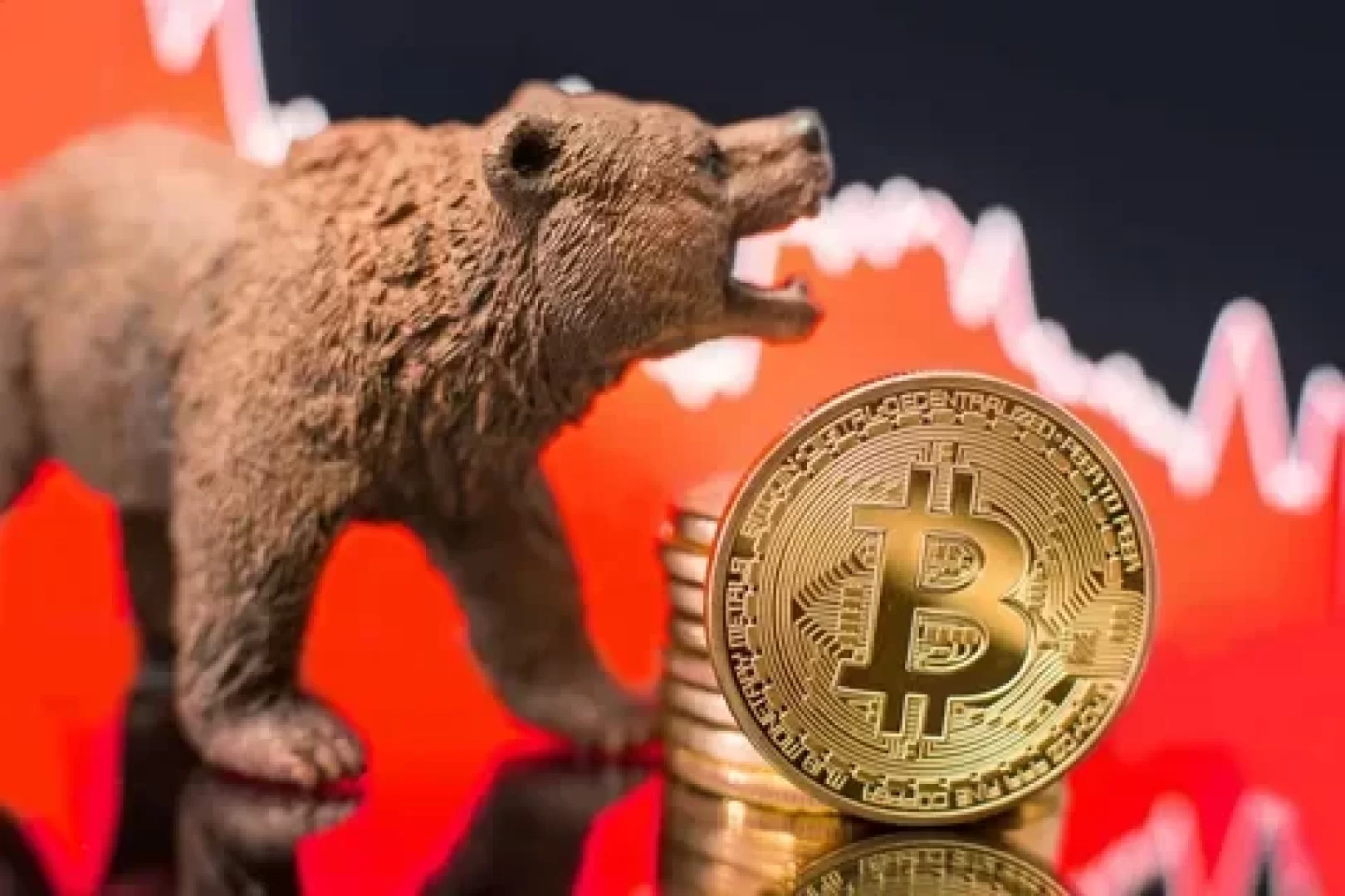 الإيثيريوم (ETH) تصل إلى أعلى مستوى.. والبيتكوين (BTC) تستريح بعد تحقيق ذروة جديدة