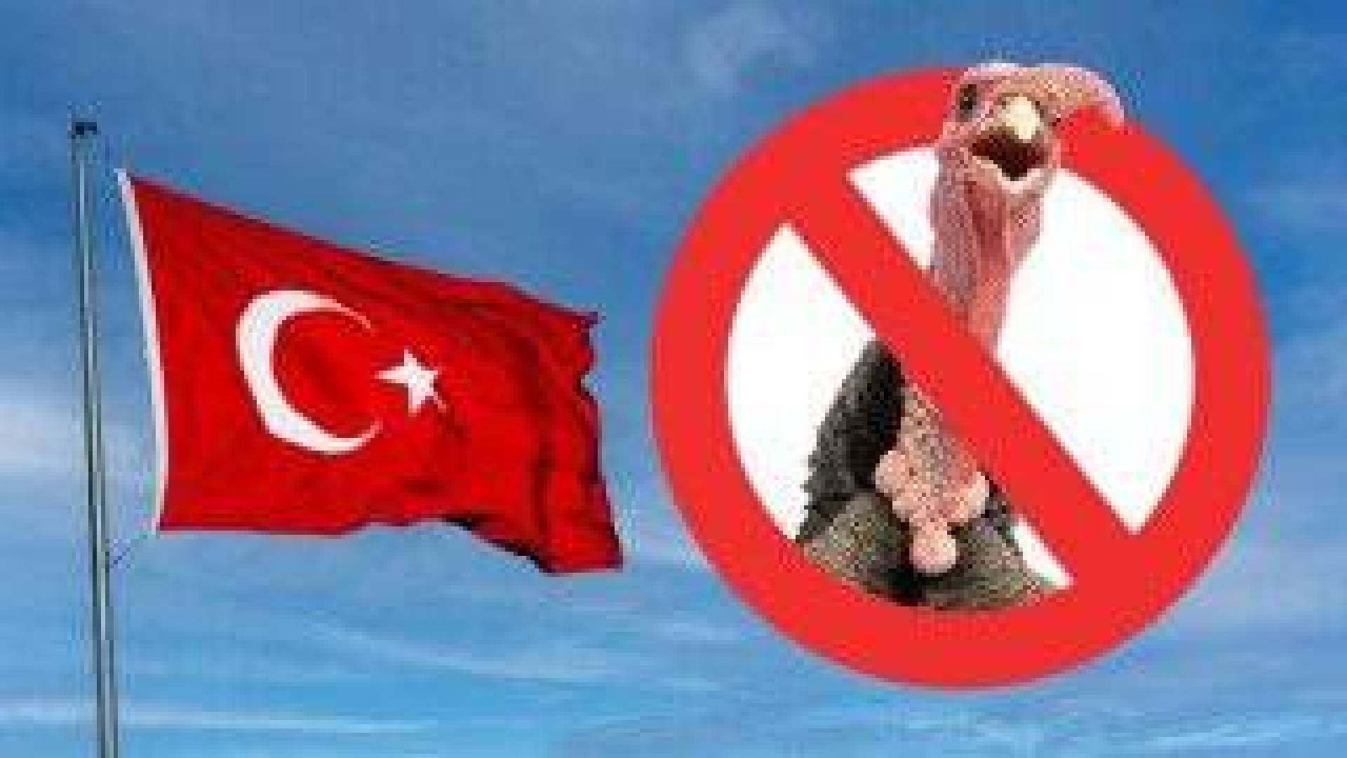 الطائر المسؤول عن اسم تركيا