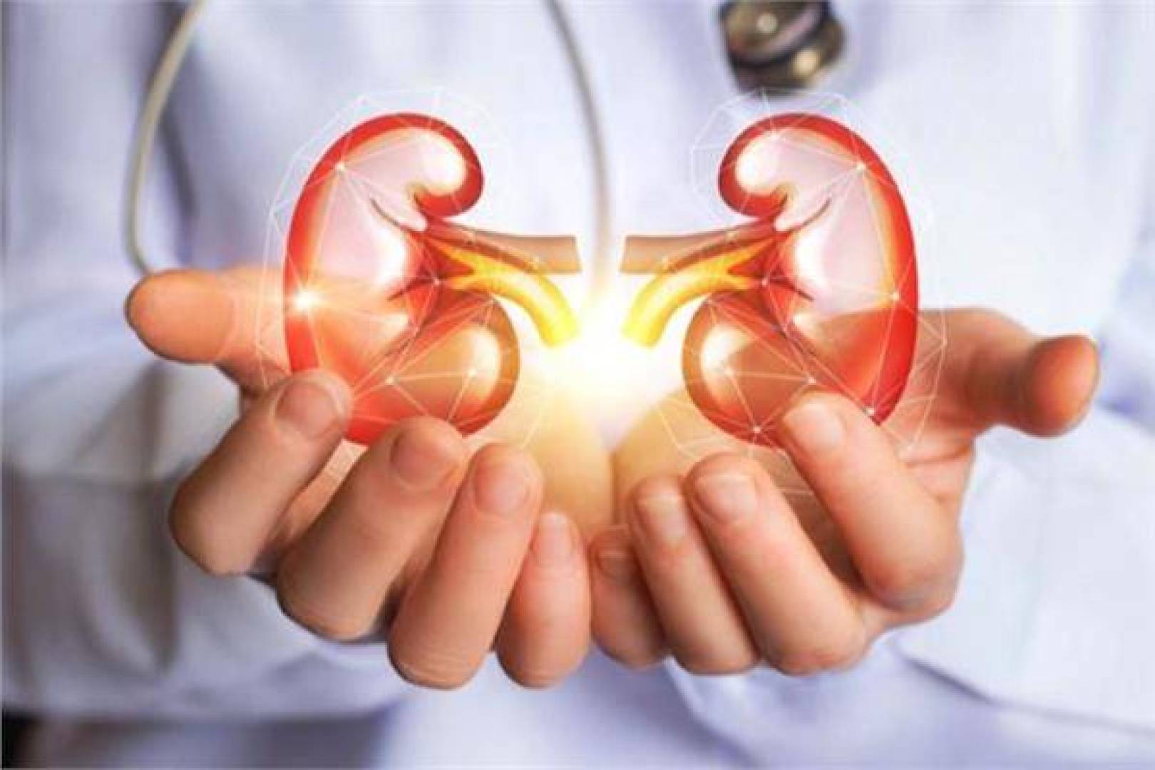 تجنب هذه الأطعمة لإنقاذ كليتيك.. دراسة تكشف الأغذية المسببة للفشل الكلوي