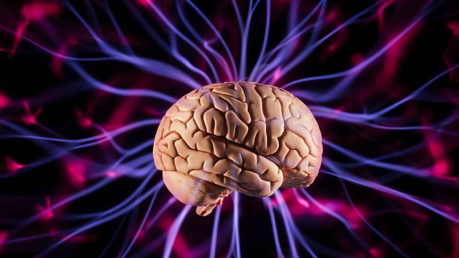 اكتشاف مذهل.. علماء يحددون الخلايا المسؤولة عن فقدان الوزن دون آثار جانبية