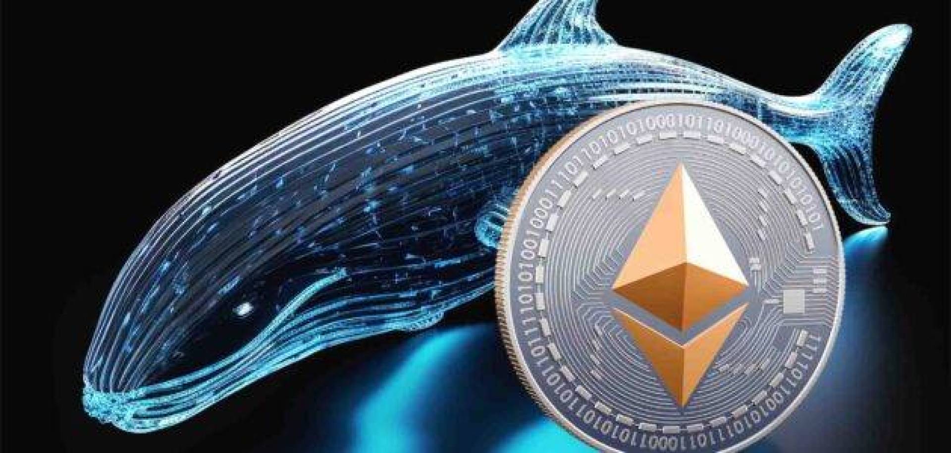 مفاجأة في سوق عملة الإيثريوم ETH.. الحيتان تشتري بكثافة لكن التحليل يكشف خطرا خفيا