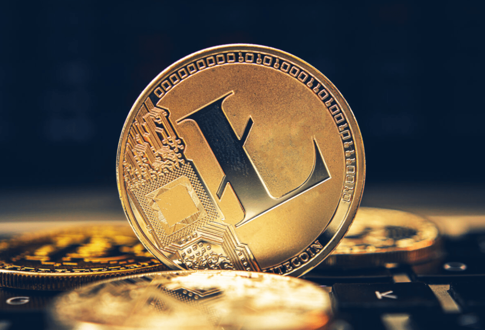 عملة لايتكوين LTC تتراجع بعد صدمة من هيئة SEC.. هل يصمد السعر