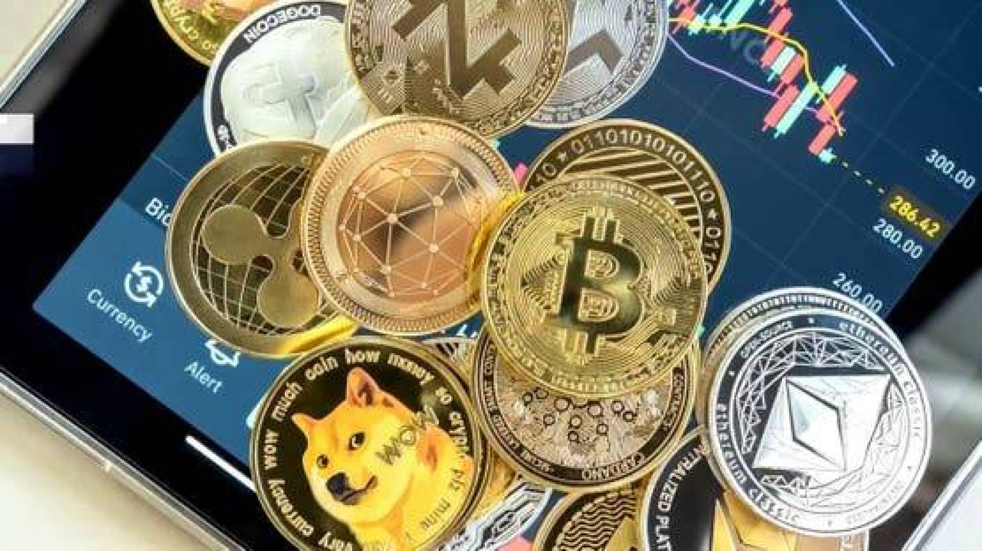 انتعاشة قوية لعملات الميم.. عملة WIF وSPX تتجاوزان 10% بفضل صعود البيتكوين