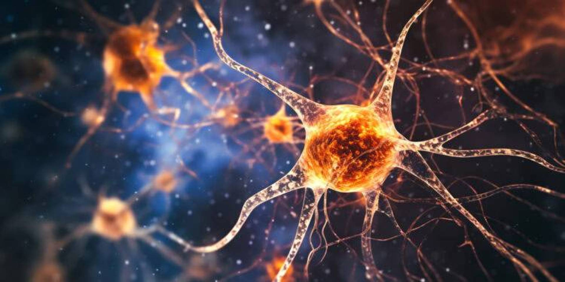 دماغك يرسم خريطة لكل مكان تزوره أثناء نومك اكتشف السر وراء ذلك